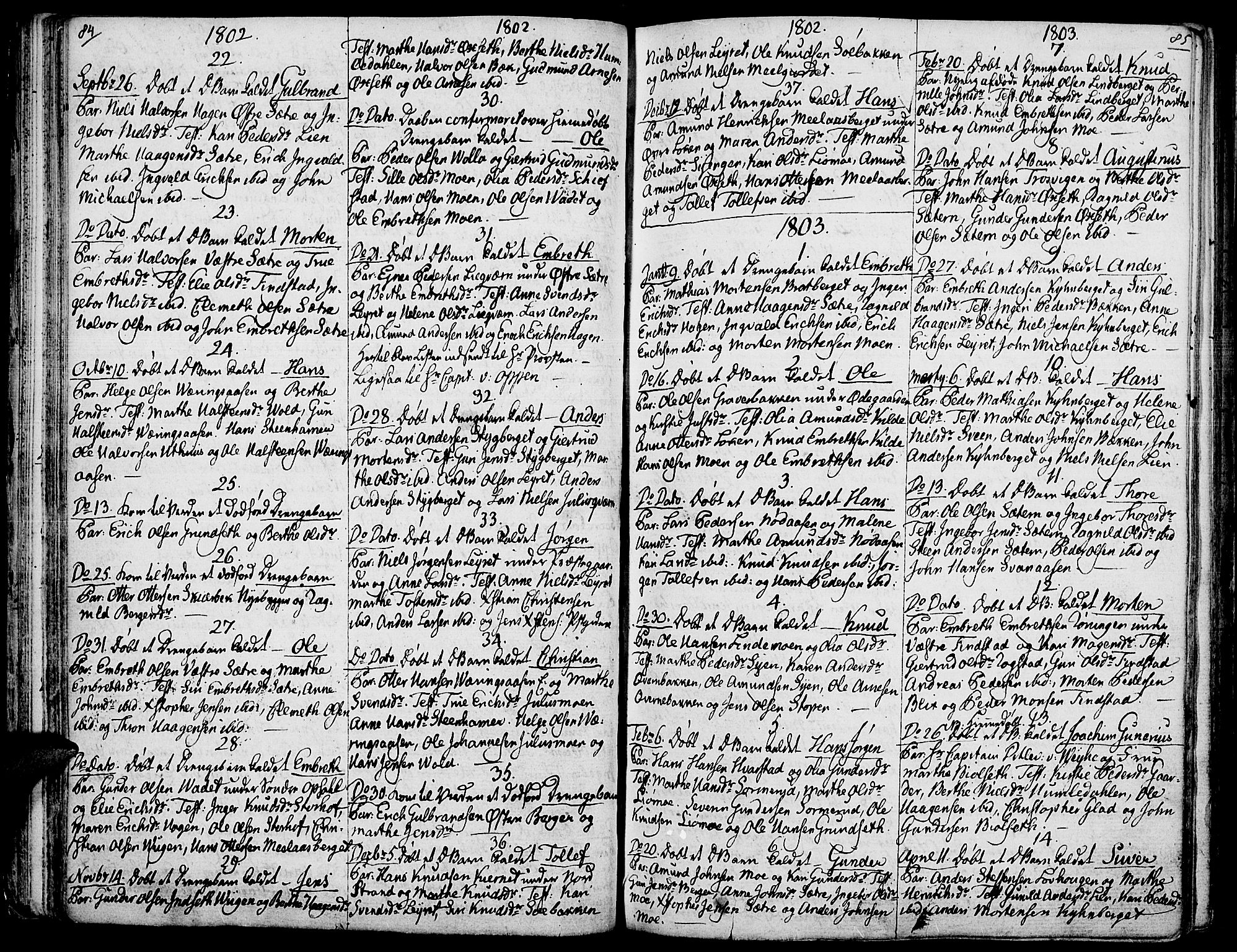 Elverum prestekontor, SAH/PREST-044/H/Ha/Haa/L0006: Parish register (official) no. 6, 1794-1814, p. 84-85