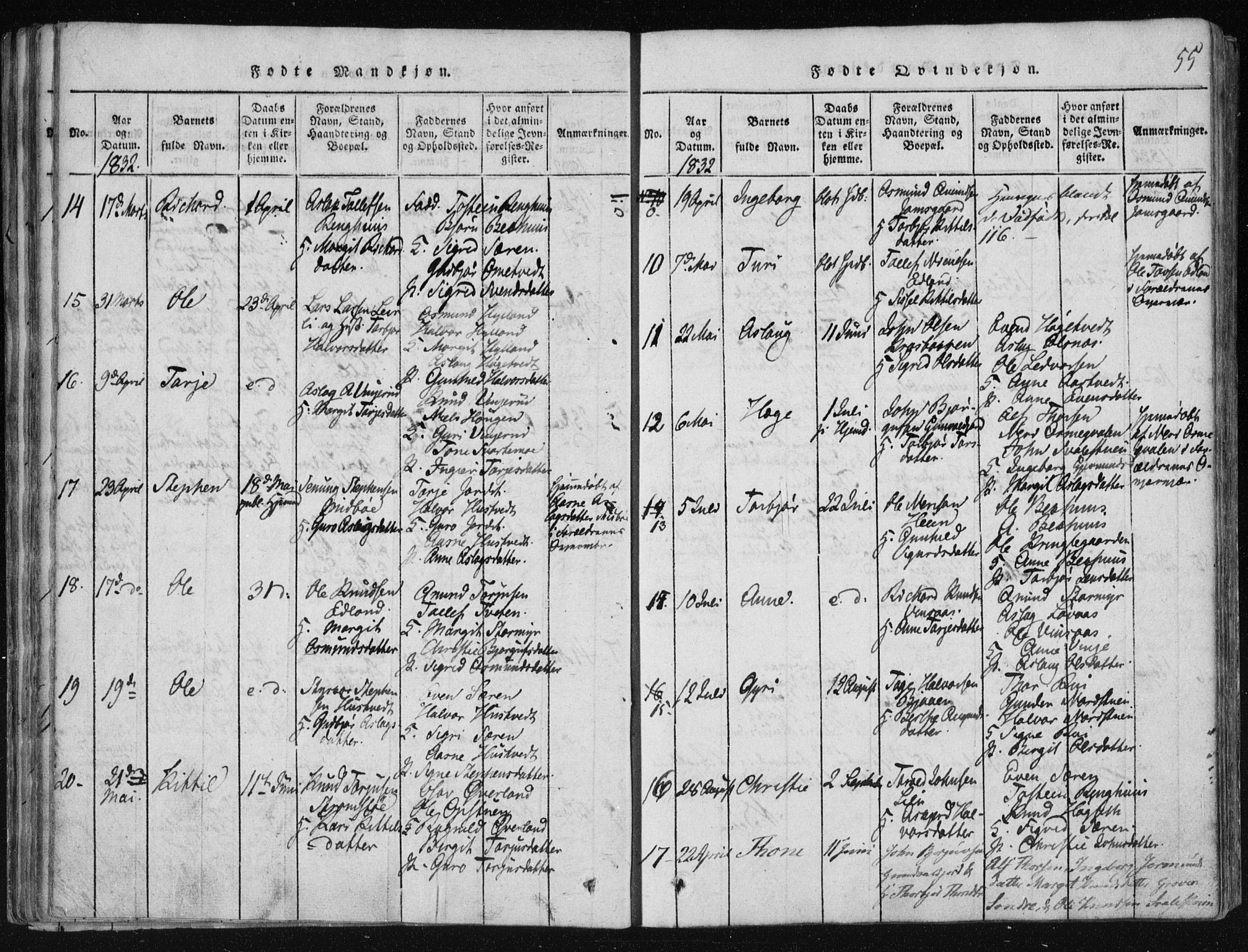 Vinje kirkebøker, AV/SAKO-A-312/F/Fa/L0003: Parish register (official) no. I 3, 1814-1843, p. 55