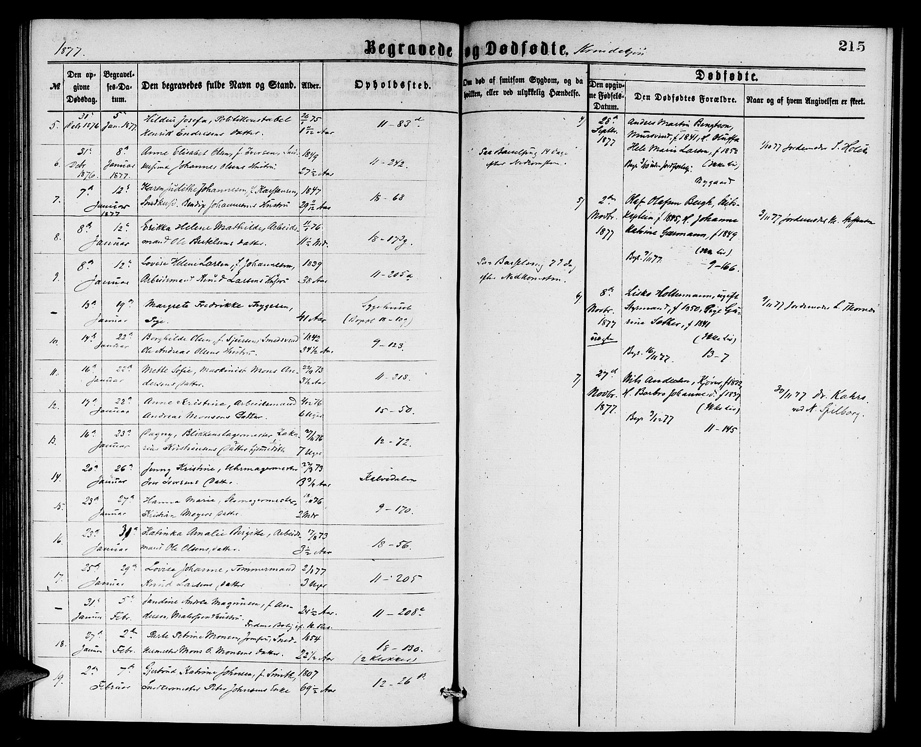 Domkirken sokneprestembete, AV/SAB-A-74801/H/Hab/L0040: Parish register (copy) no. E 4, 1868-1877, p. 215