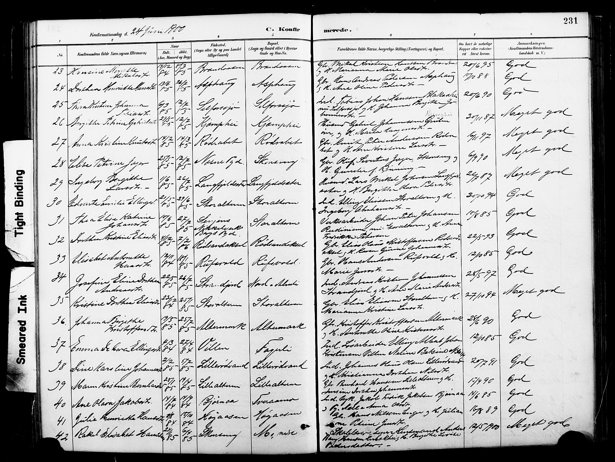 Ministerialprotokoller, klokkerbøker og fødselsregistre - Nordland, AV/SAT-A-1459/827/L0421: Parish register (copy) no. 827C10, 1887-1906, p. 231
