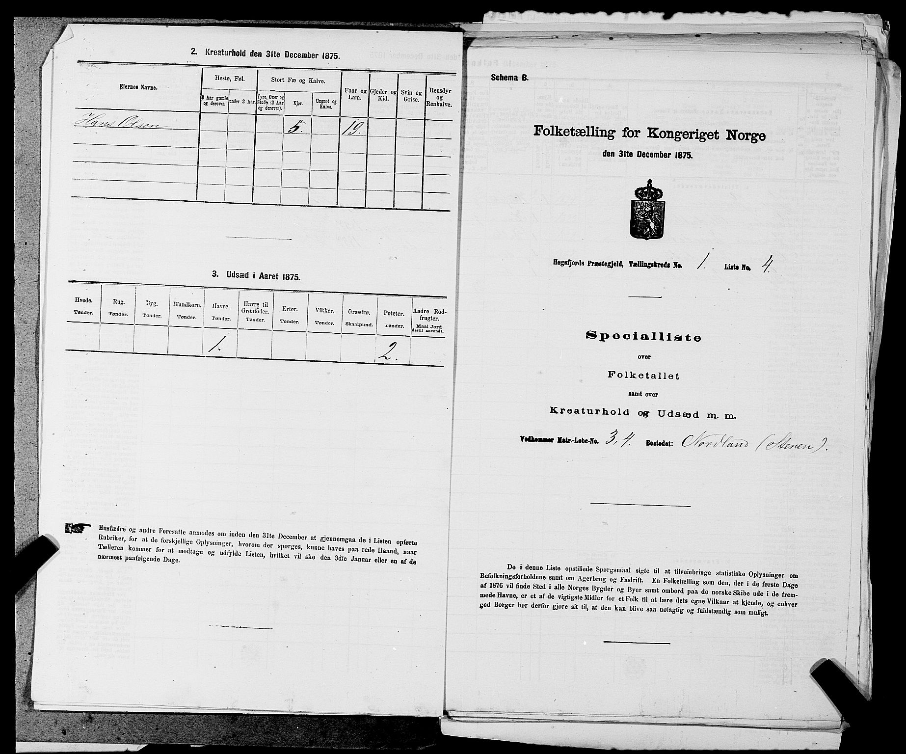 SAST, 1875 census for 1128P Høgsfjord, 1875, p. 71