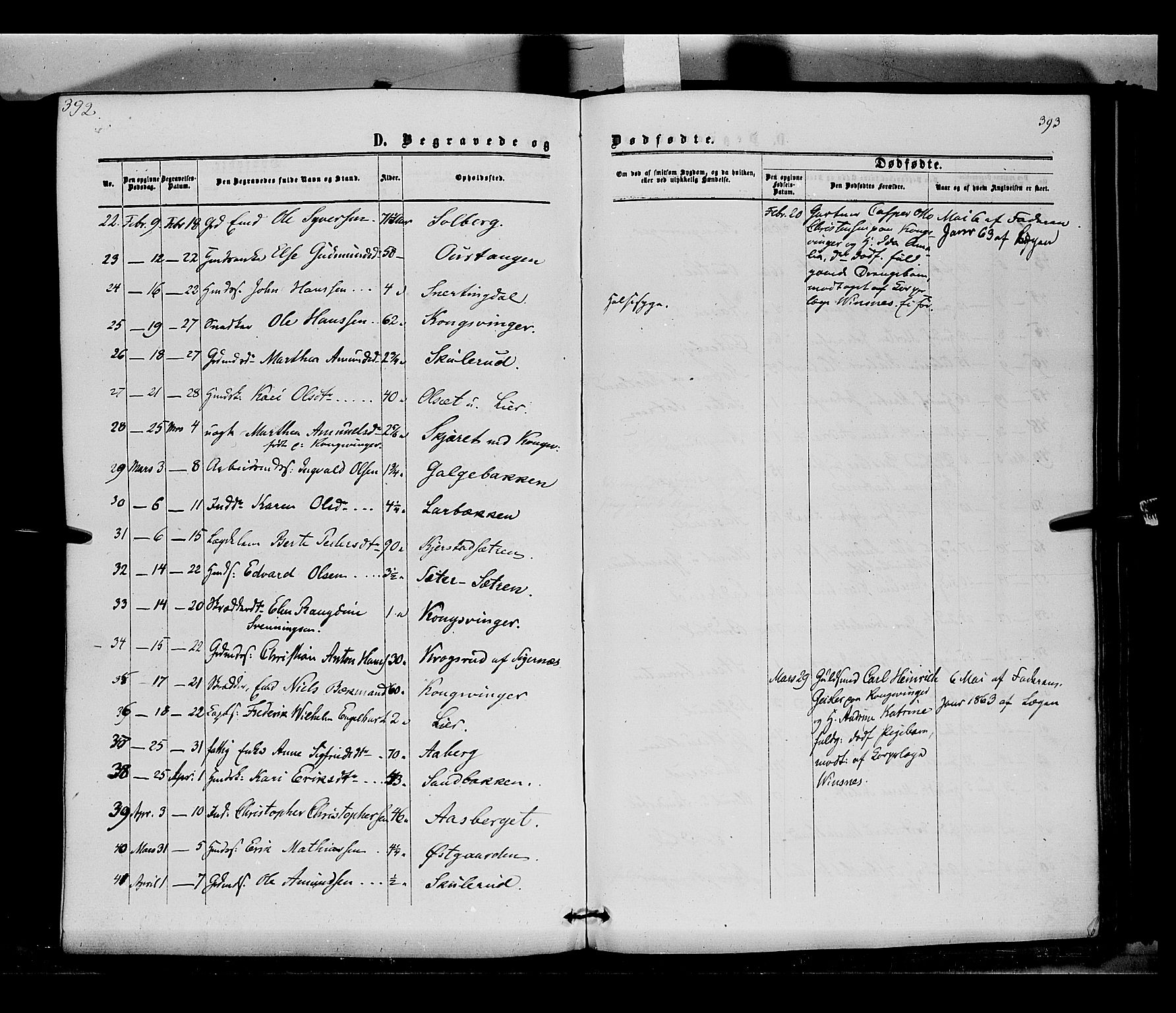 Vinger prestekontor, AV/SAH-PREST-024/H/Ha/Haa/L0011: Parish register (official) no. 11, 1862-1870, p. 393