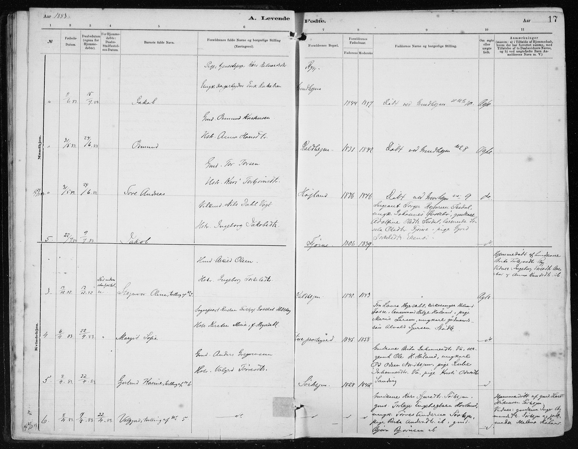 Etne sokneprestembete, AV/SAB-A-75001/H/Haa: Parish register (official) no. B  1, 1879-1919, p. 17