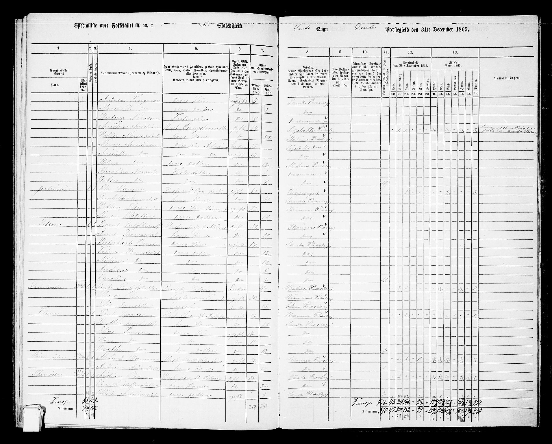 RA, 1865 census for Sande, 1865, p. 129