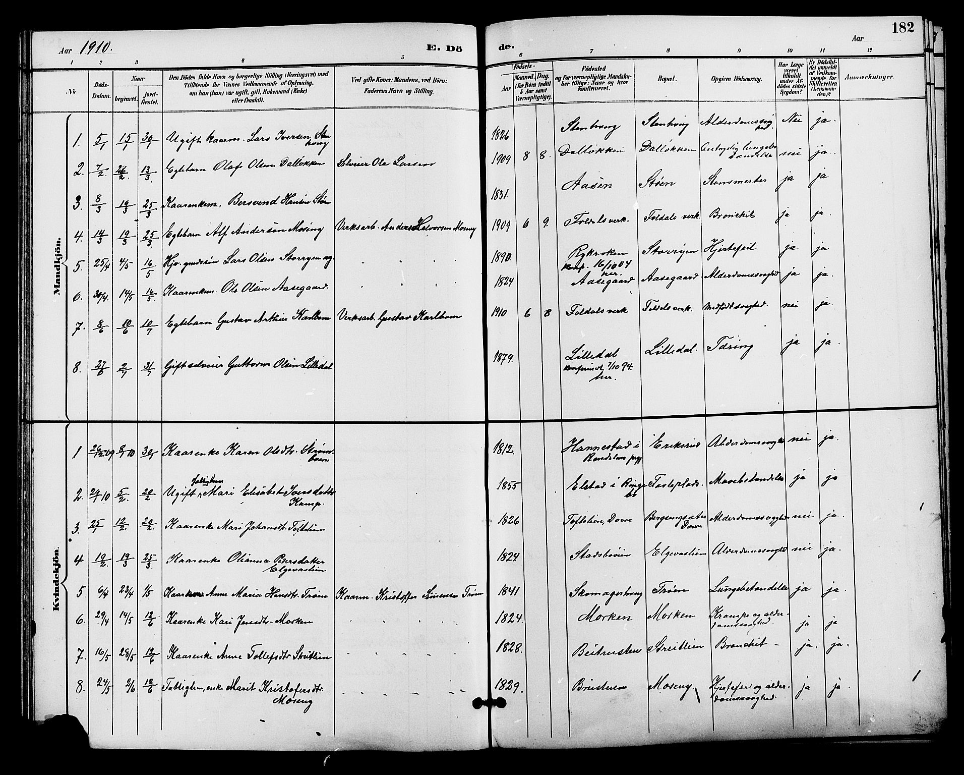 Alvdal prestekontor, SAH/PREST-060/H/Ha/Hab/L0004: Parish register (copy) no. 4, 1894-1910, p. 182
