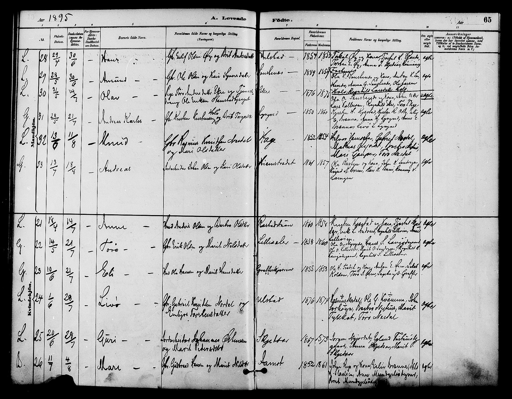 Lom prestekontor, AV/SAH-PREST-070/K/L0008: Parish register (official) no. 8, 1885-1898, p. 65