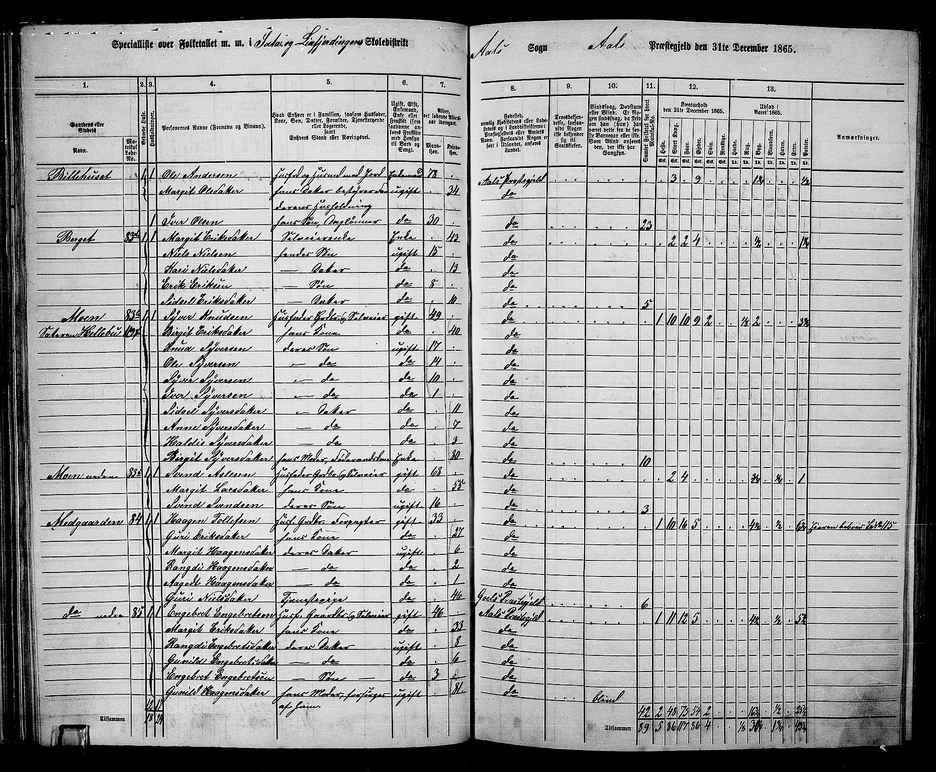 RA, 1865 census for Ål, 1865, p. 58