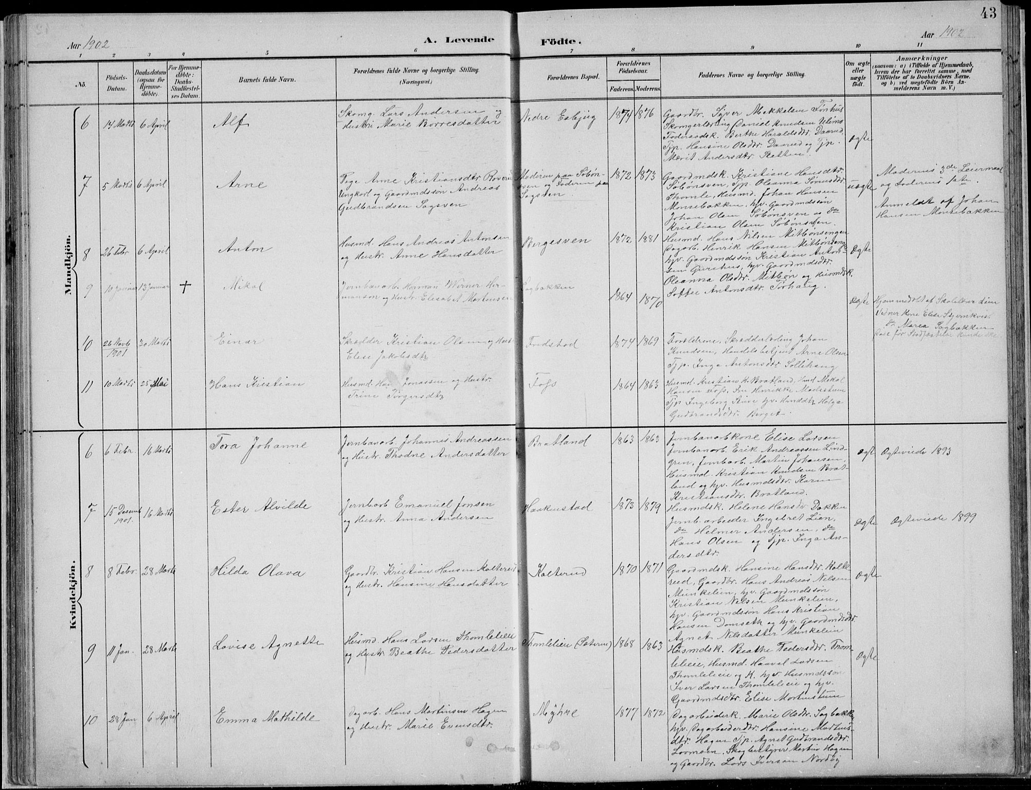 Nordre Land prestekontor, SAH/PREST-124/H/Ha/Hab/L0013: Parish register (copy) no. 13, 1891-1904, p. 43