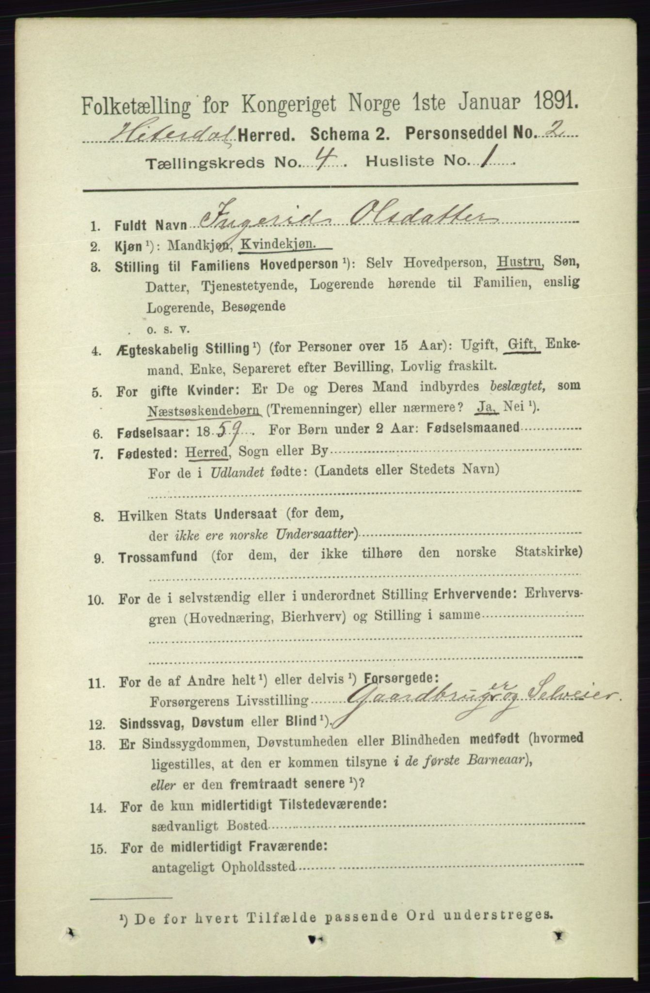 RA, 1891 census for 0823 Heddal, 1891, p. 1673