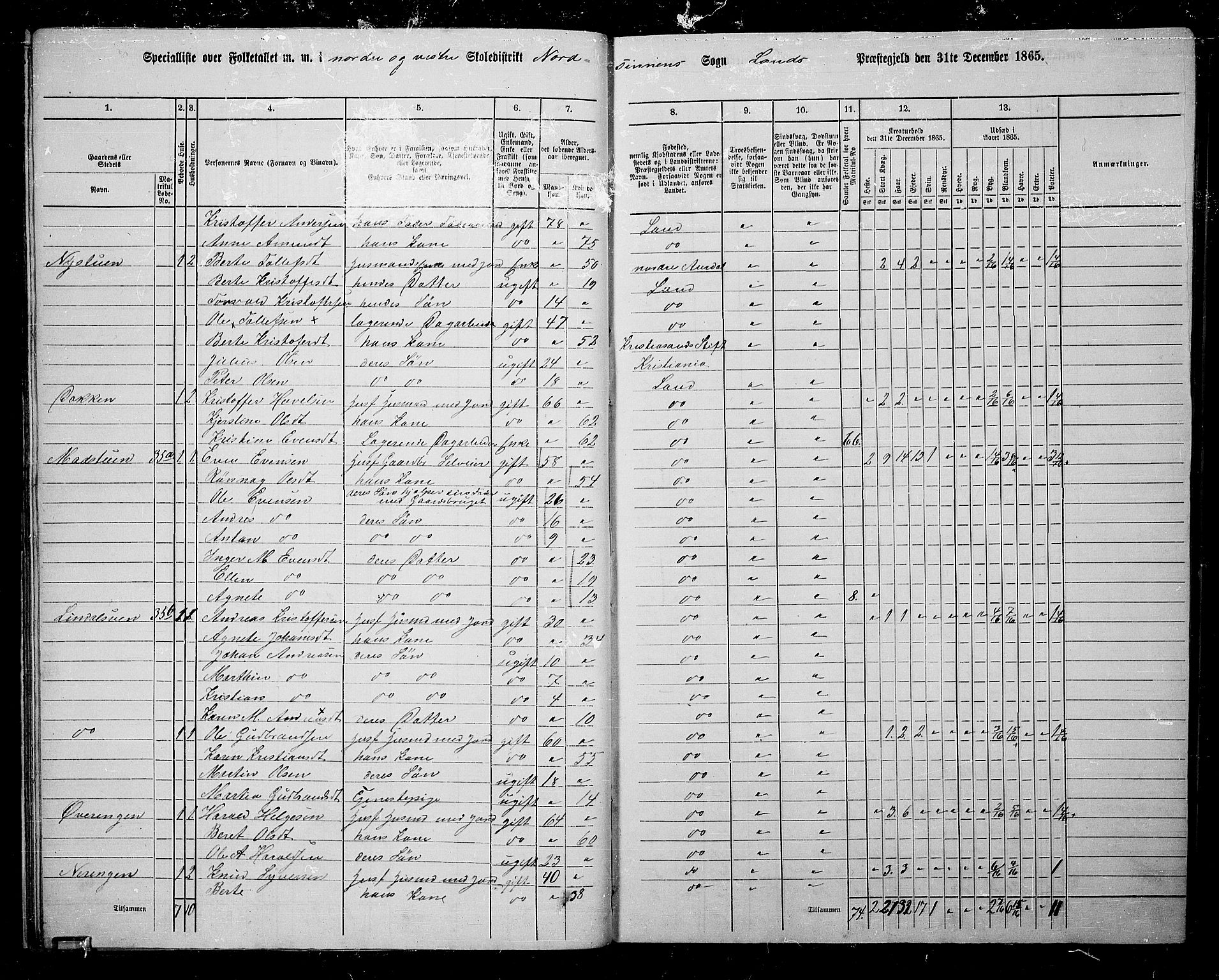 RA, 1865 census for Land, 1865, p. 30