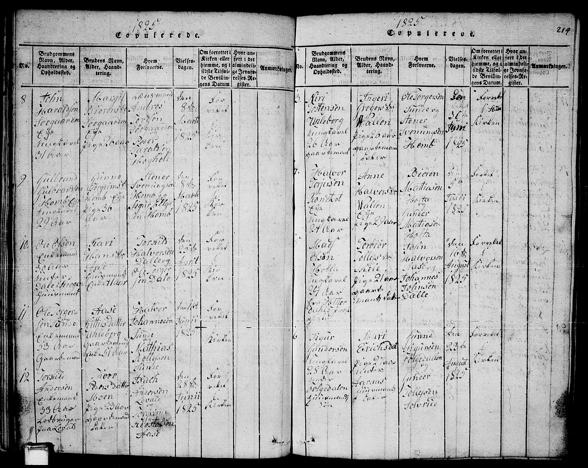 Sauherad kirkebøker, AV/SAKO-A-298/F/Fa/L0005: Parish register (official) no. I 5, 1815-1829, p. 214