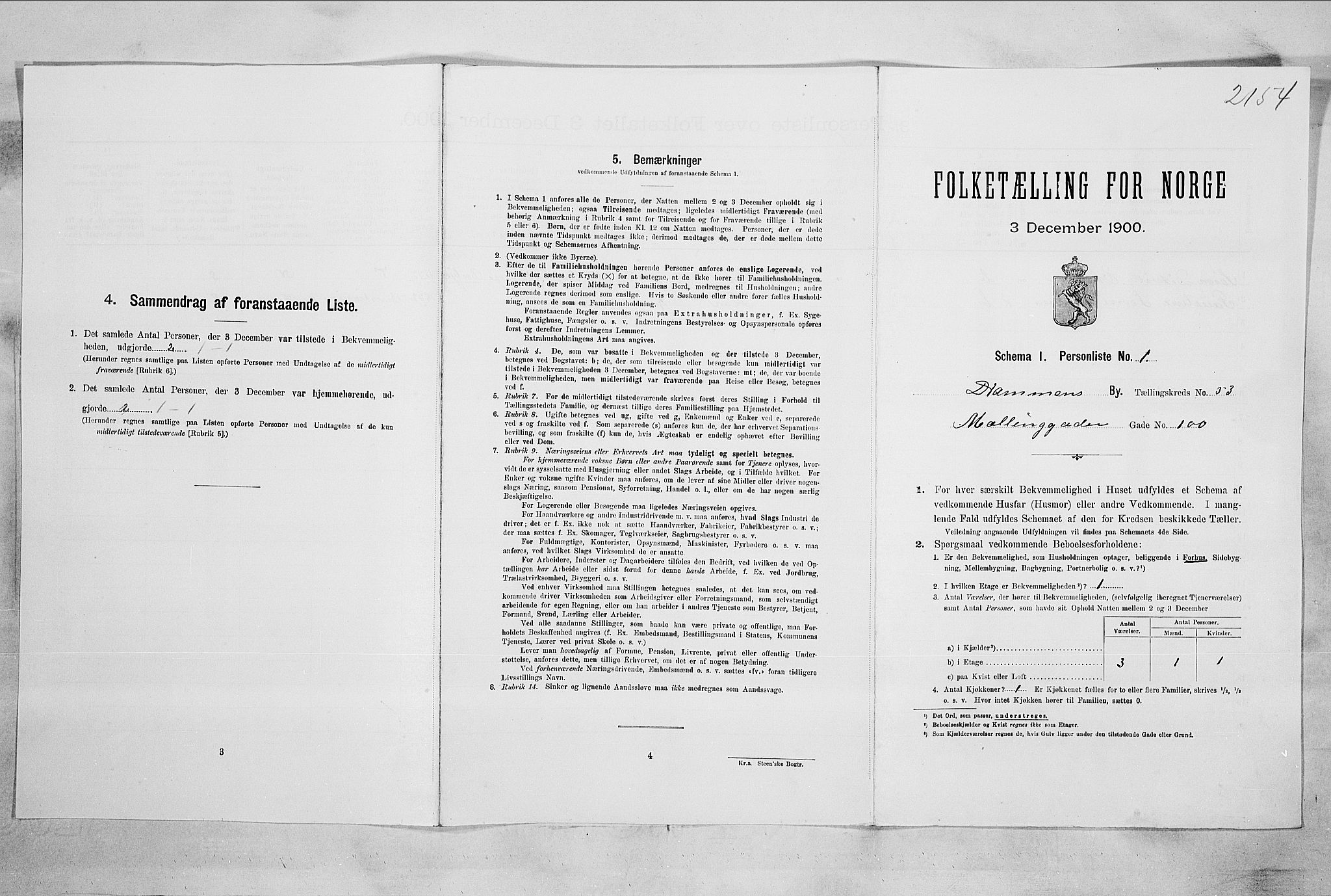 RA, 1900 census for Drammen, 1900, p. 9176