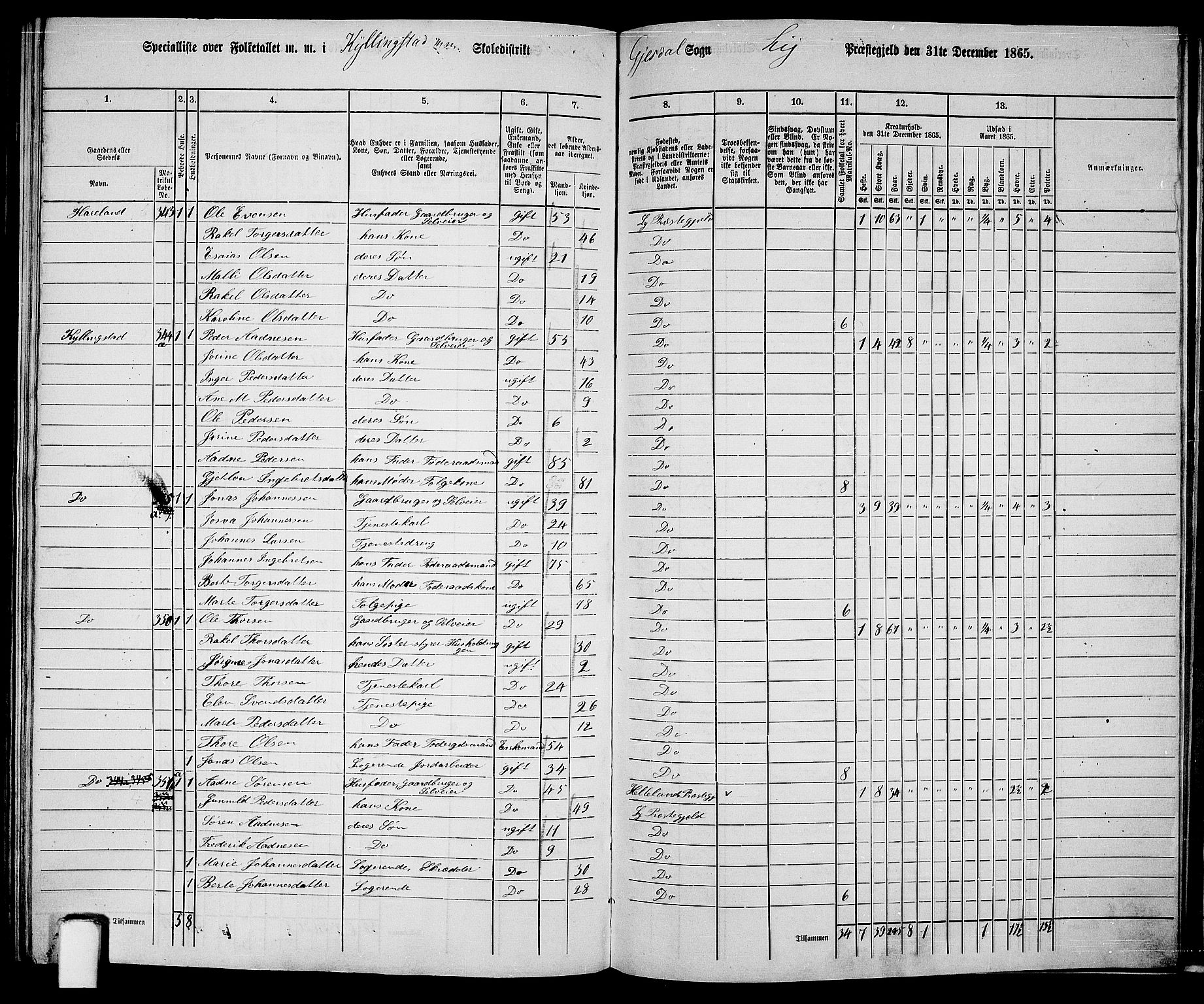 RA, 1865 census for Lye, 1865, p. 138