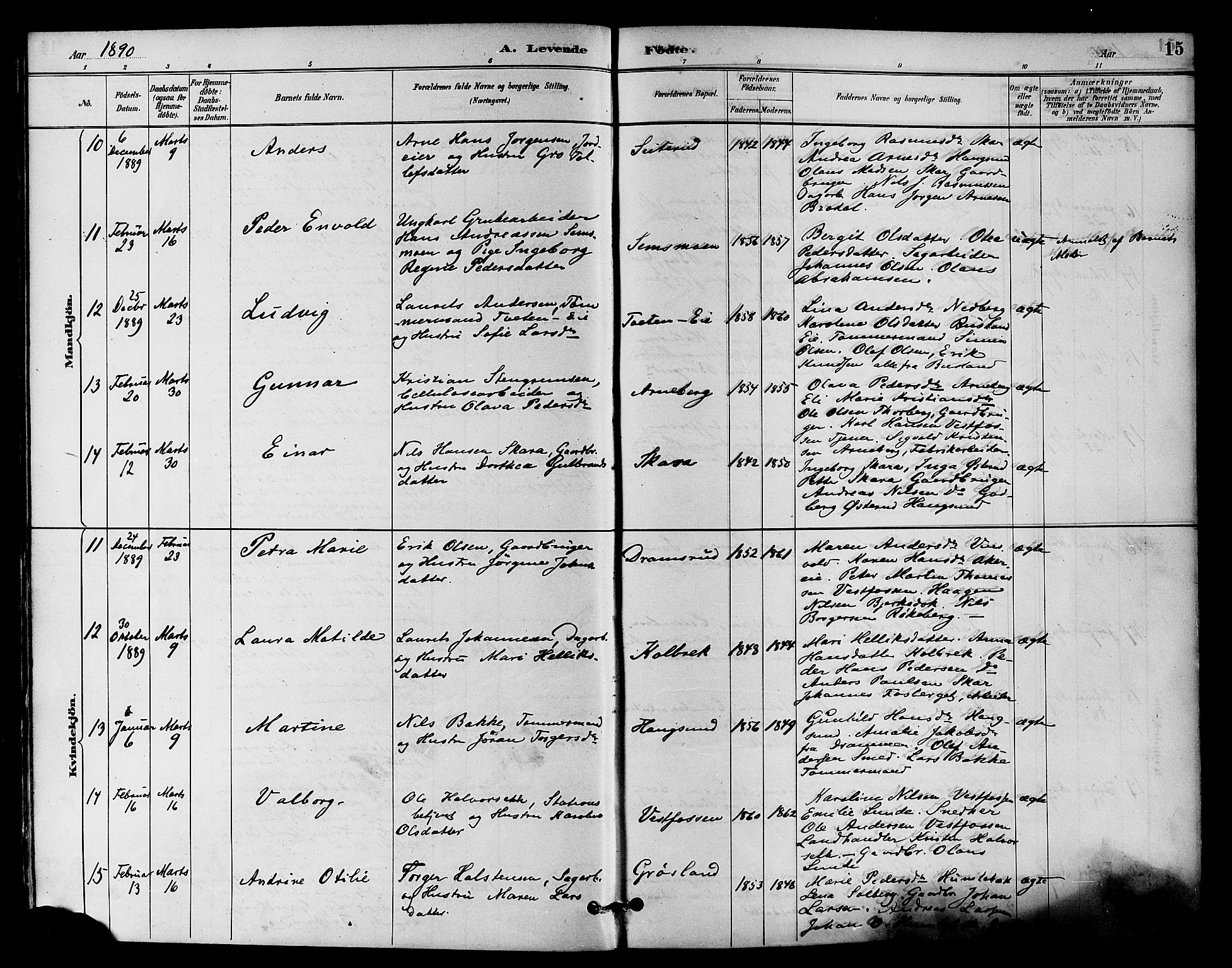 Eiker kirkebøker, SAKO/A-4/F/Fb/L0002: Parish register (official) no. II 2, 1889-1896, p. 15