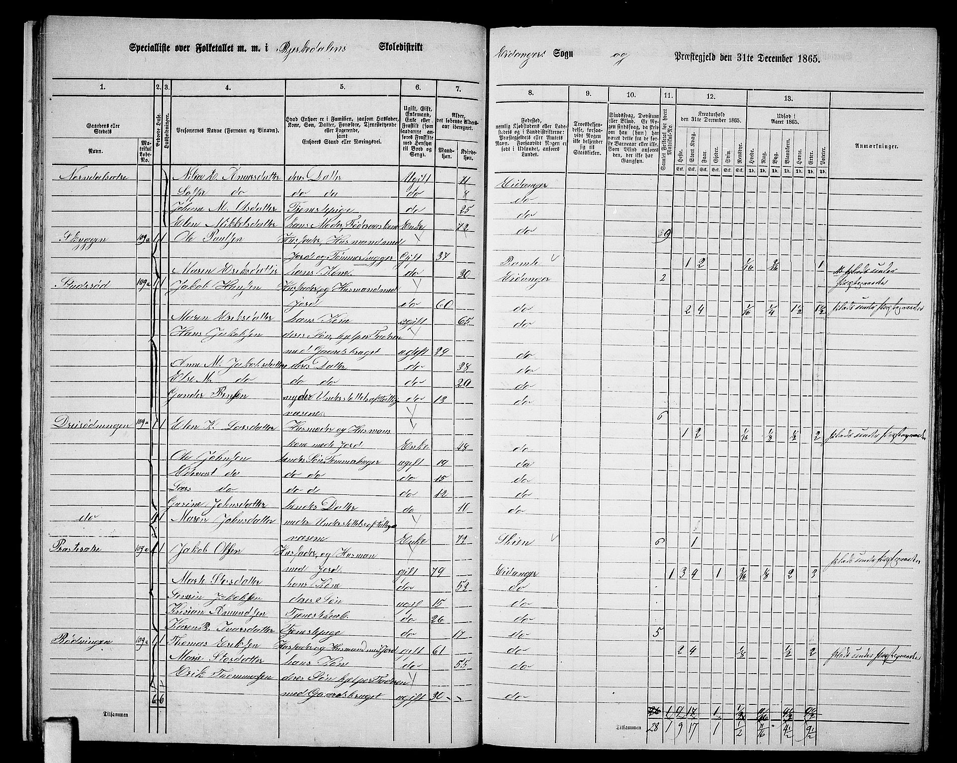 RA, 1865 census for Eidanger, 1865, p. 21