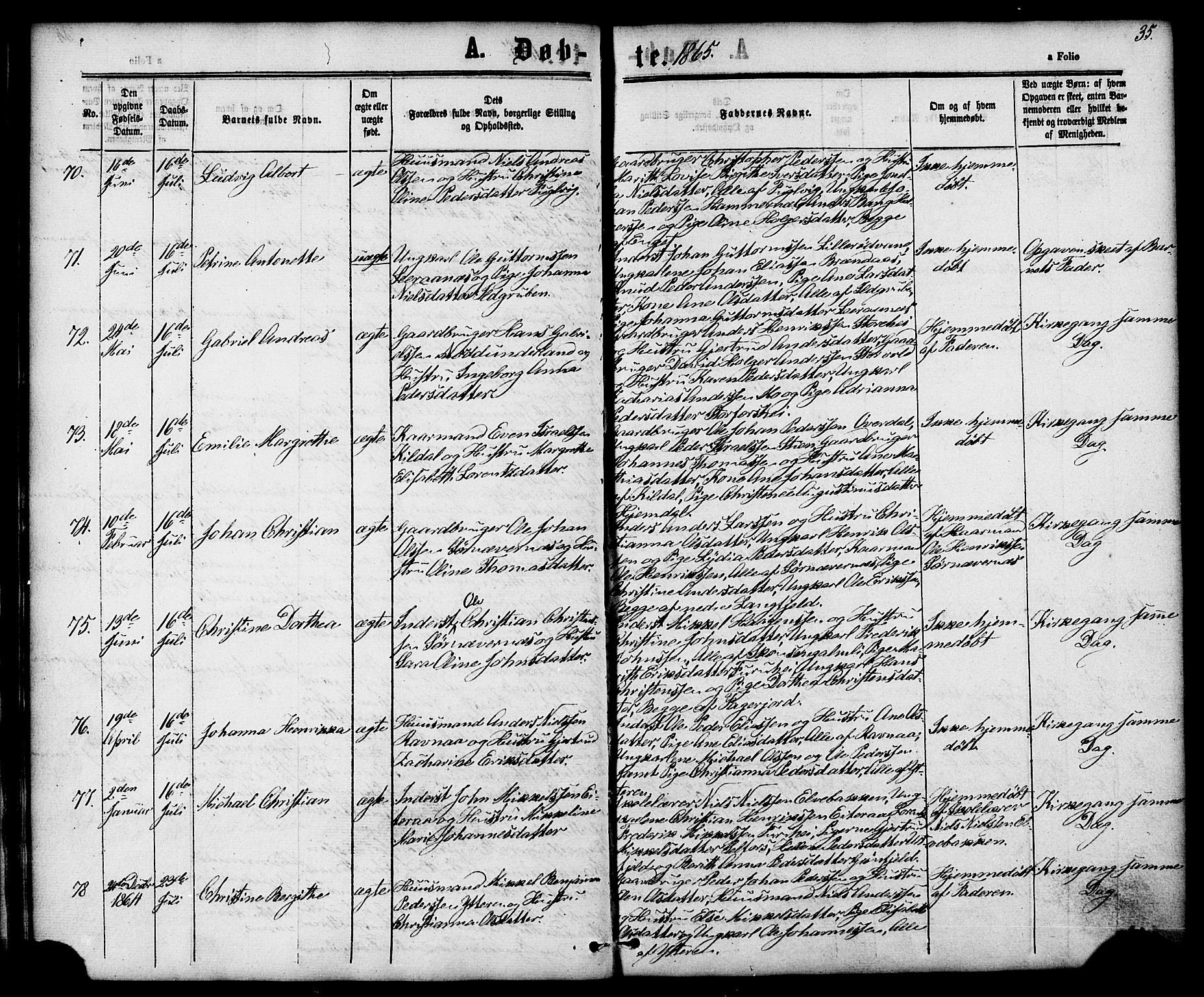 Ministerialprotokoller, klokkerbøker og fødselsregistre - Nordland, AV/SAT-A-1459/827/L0393: Parish register (official) no. 827A05, 1863-1883, p. 35