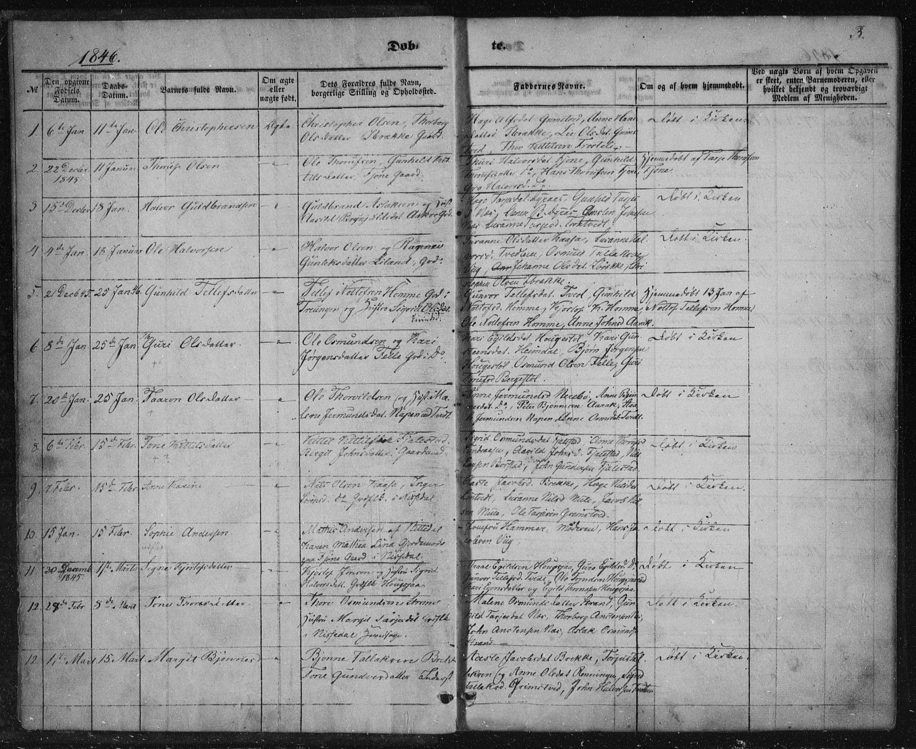 Nissedal kirkebøker, SAKO/A-288/F/Fa/L0003: Parish register (official) no. I 3, 1846-1870, p. 2-3
