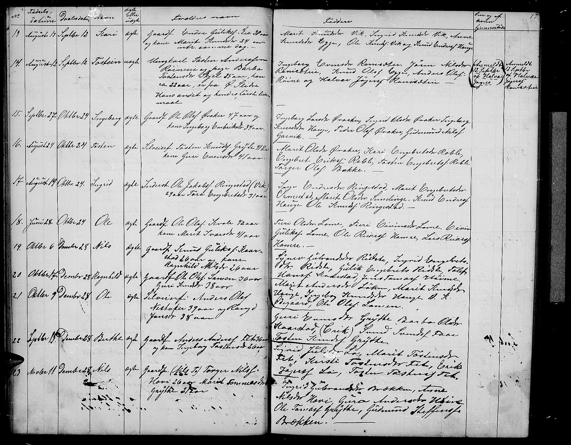 Vestre Slidre prestekontor, SAH/PREST-136/H/Ha/Hab/L0002: Parish register (copy) no. 2, 1869-1882, p. 17