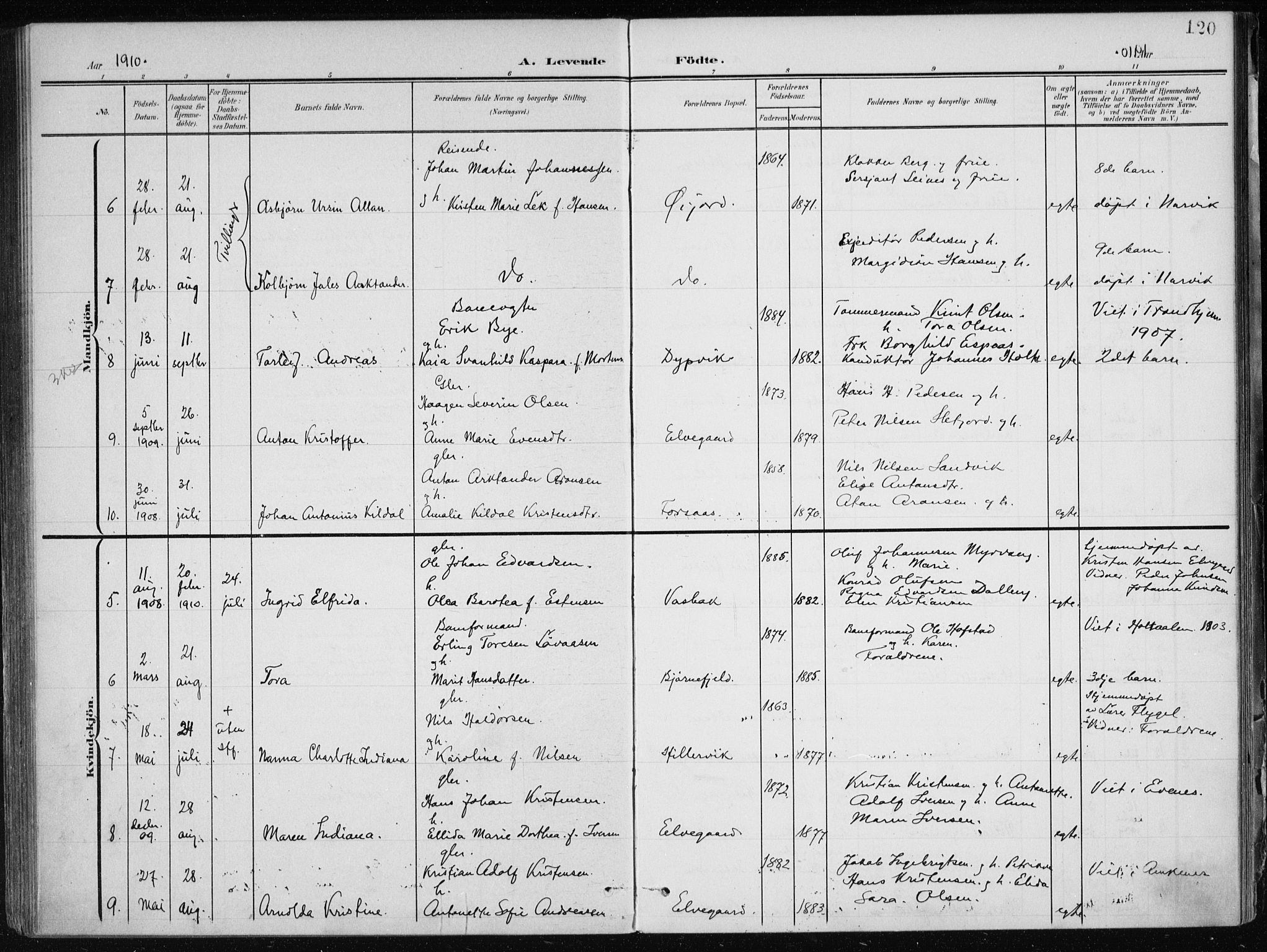 Ministerialprotokoller, klokkerbøker og fødselsregistre - Nordland, AV/SAT-A-1459/866/L0941: Parish register (official) no. 866A04, 1901-1917, p. 120