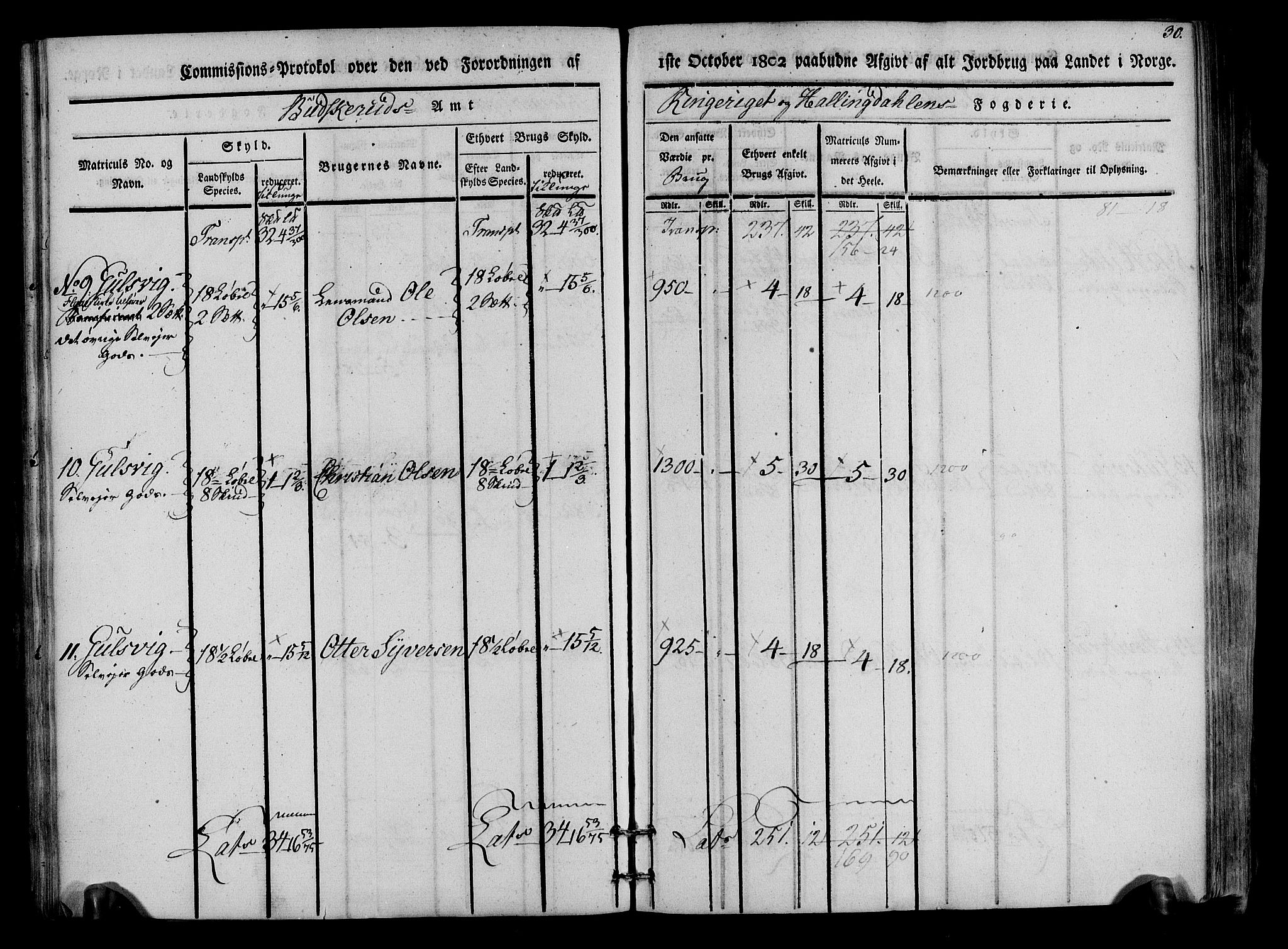 Rentekammeret inntil 1814, Realistisk ordnet avdeling, RA/EA-4070/N/Ne/Nea/L0047: Ringerike og Hallingdal fogderi. Kommisjonsprotokoll for Nes prestegjeld, 1803, p. 32