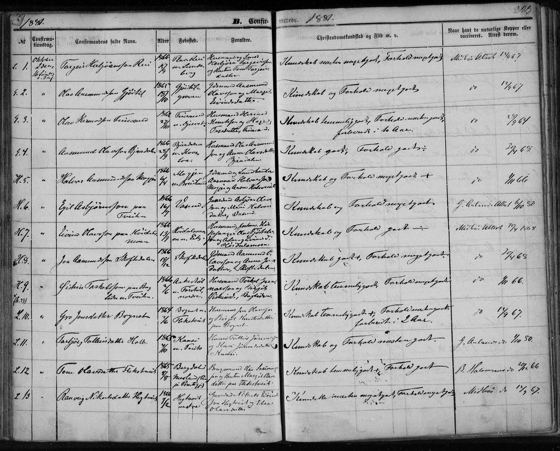 Lårdal kirkebøker, SAKO/A-284/F/Fa/L0006: Parish register (official) no. I 6, 1861-1886, p. 223