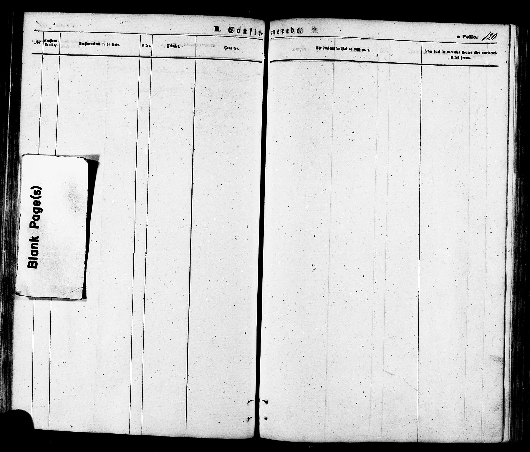 Talvik sokneprestkontor, SATØ/S-1337/H/Ha/L0011kirke: Parish register (official) no. 11, 1864-1877, p. 120