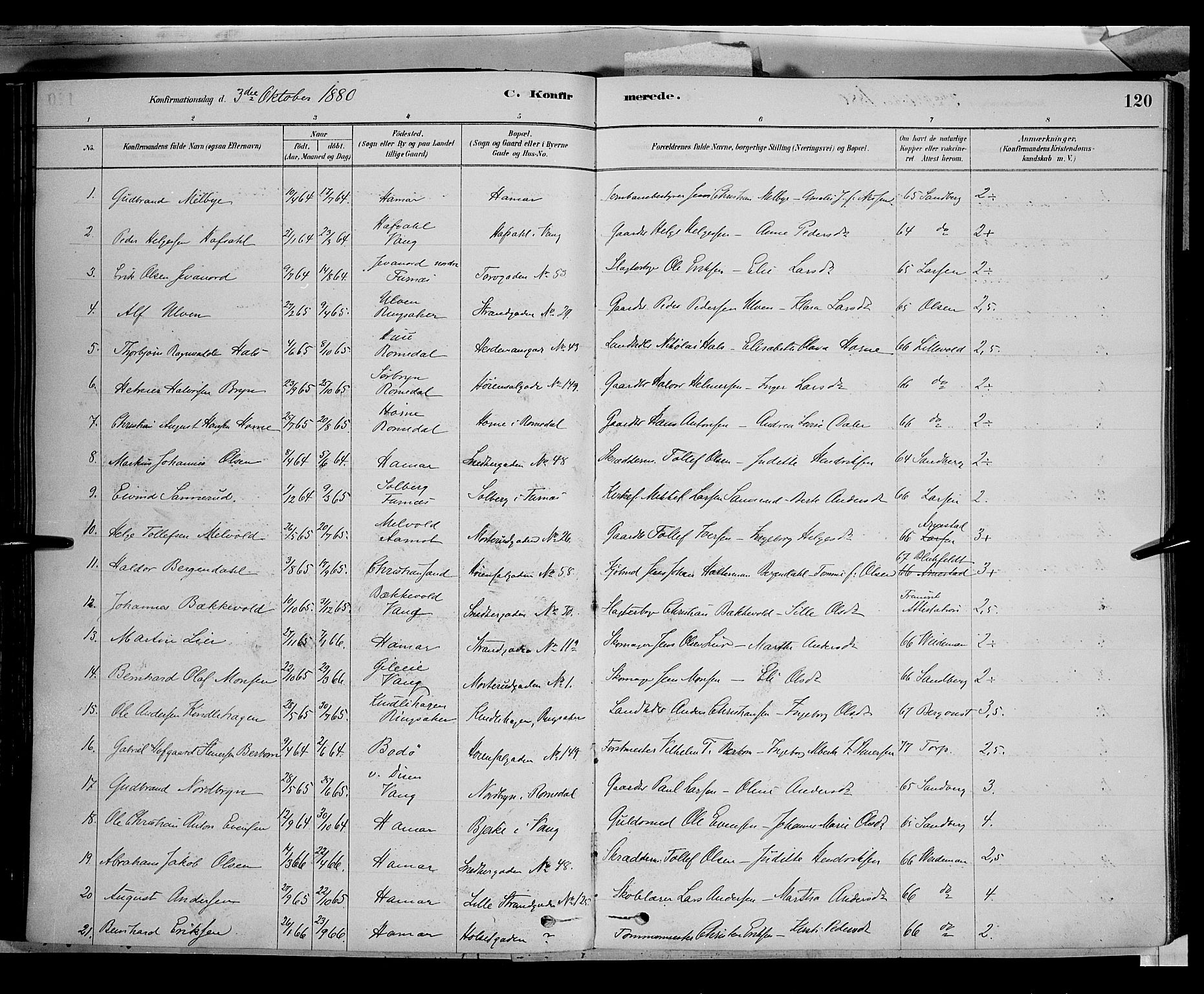 Vang prestekontor, Hedmark, SAH/PREST-008/H/Ha/Haa/L0016: Parish register (official) no. 16, 1878-1889, p. 120