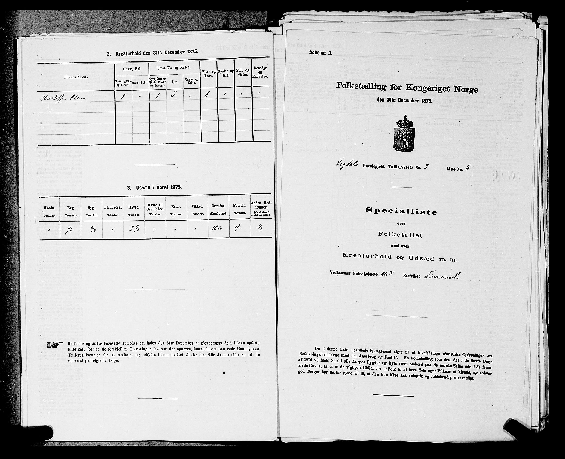 SAKO, 1875 census for 0621P Sigdal, 1875, p. 433