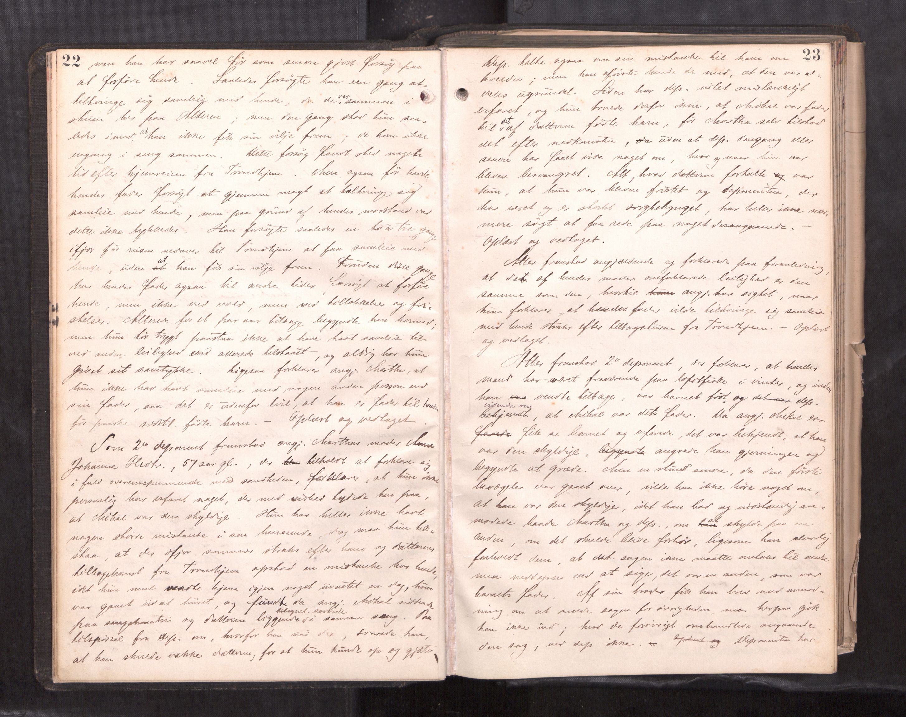 Søndre Helgeland sorenskriveri, AV/SAT-A-4575/1/1/1B/1Ba/L0018: ekstrarettsprotokoll, 1889-1893, p. 22-23