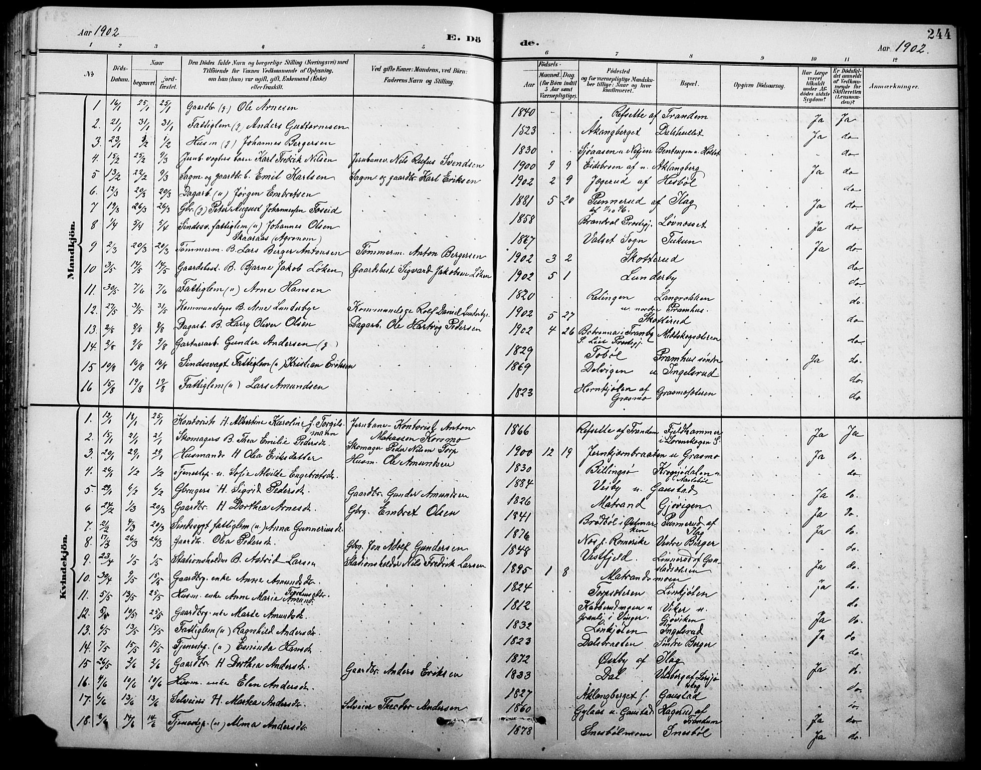 Eidskog prestekontor, AV/SAH-PREST-026/H/Ha/Hab/L0001: Parish register (copy) no. 1, 1895-1917, p. 244