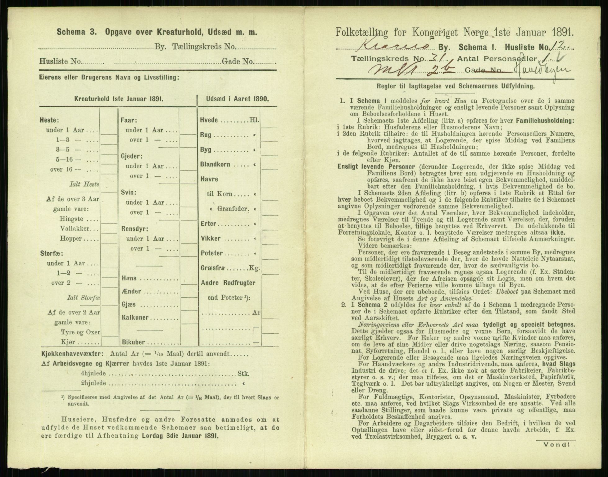 RA, 1891 census for 0801 Kragerø, 1891, p. 1138