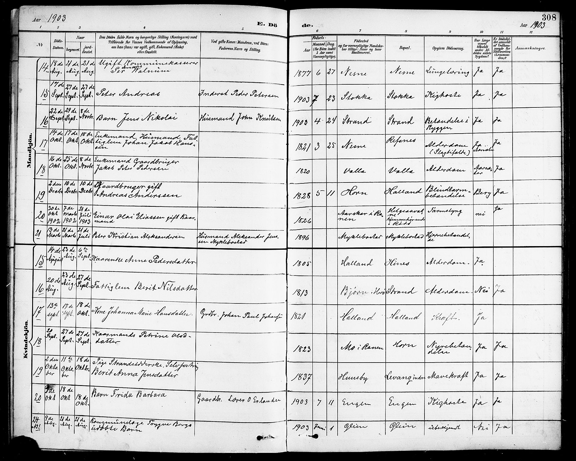 Ministerialprotokoller, klokkerbøker og fødselsregistre - Nordland, SAT/A-1459/838/L0559: Parish register (copy) no. 838C06, 1893-1910, p. 308