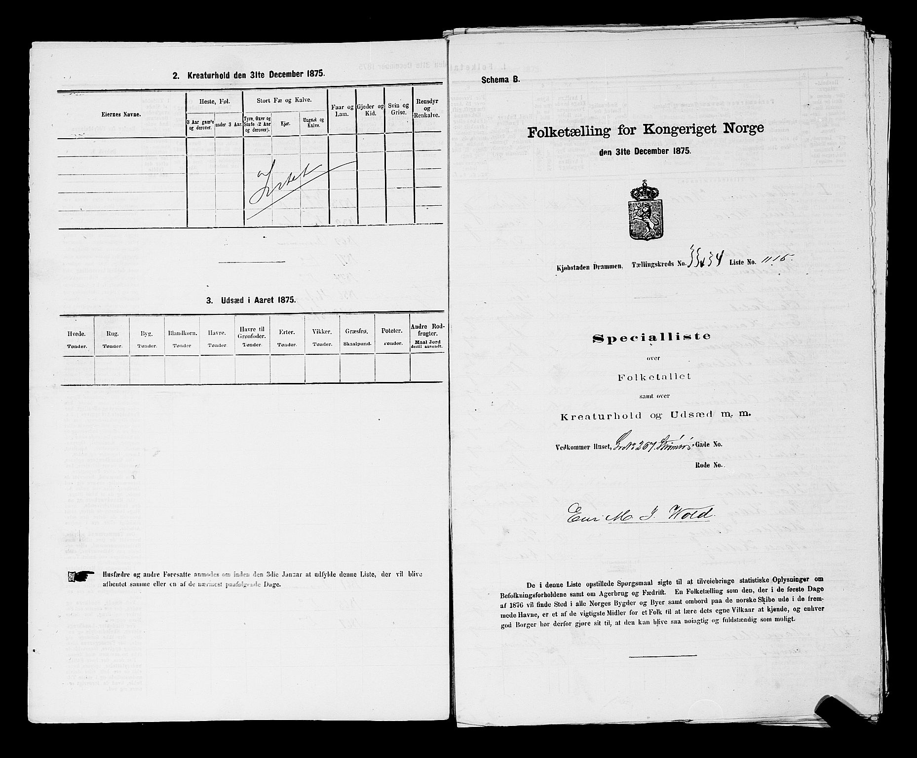 SAKO, 1875 census for 0602 Drammen, 1875, p. 2958