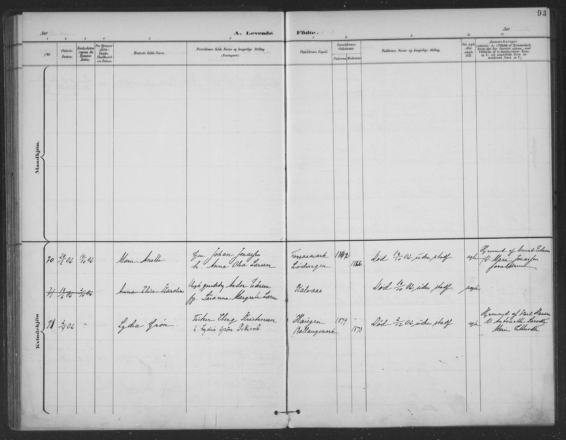 Ministerialprotokoller, klokkerbøker og fødselsregistre - Nordland, AV/SAT-A-1459/863/L0899: Parish register (official) no. 863A11, 1897-1906, p. 93