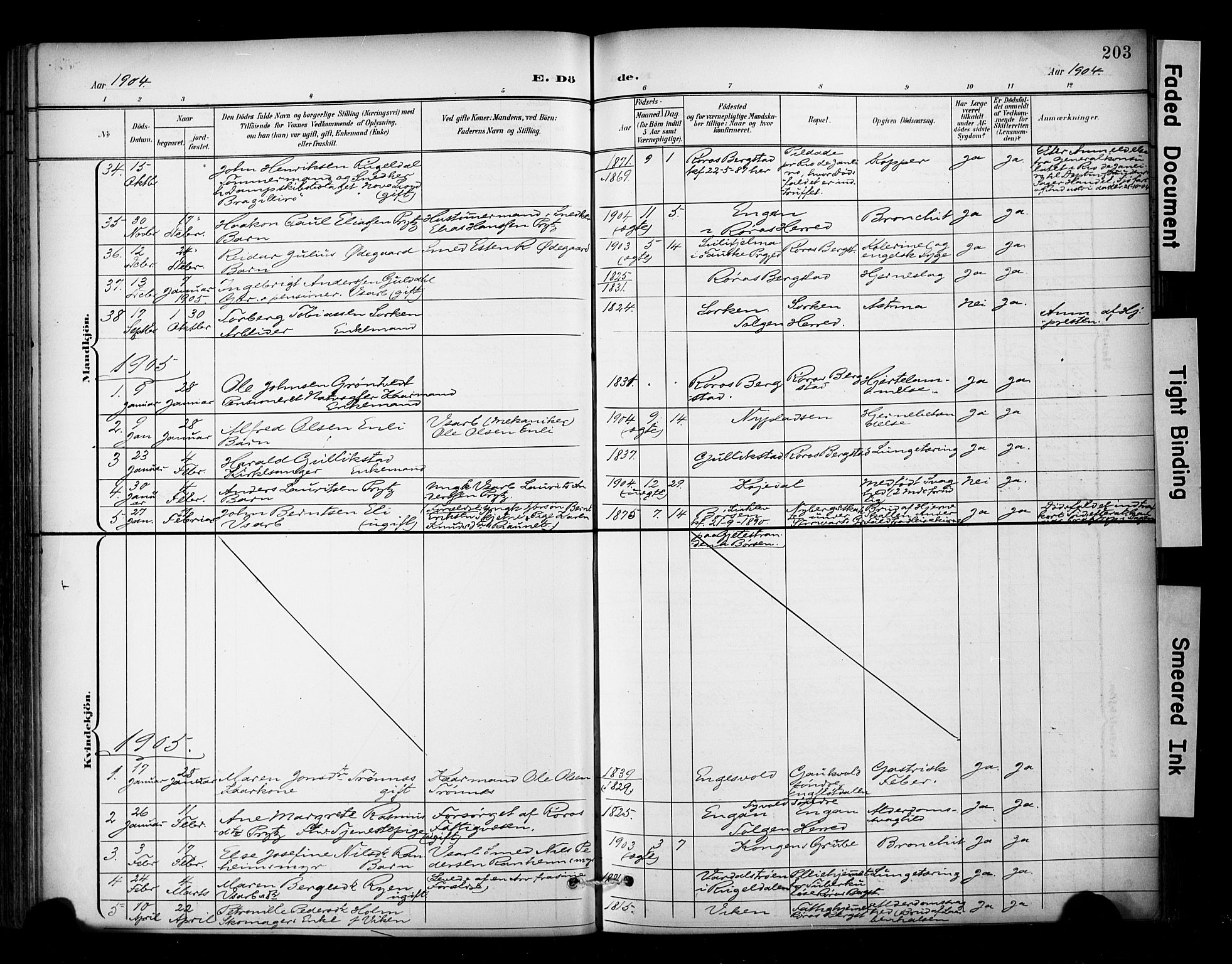 Ministerialprotokoller, klokkerbøker og fødselsregistre - Sør-Trøndelag, SAT/A-1456/681/L0936: Parish register (official) no. 681A14, 1899-1908, p. 203