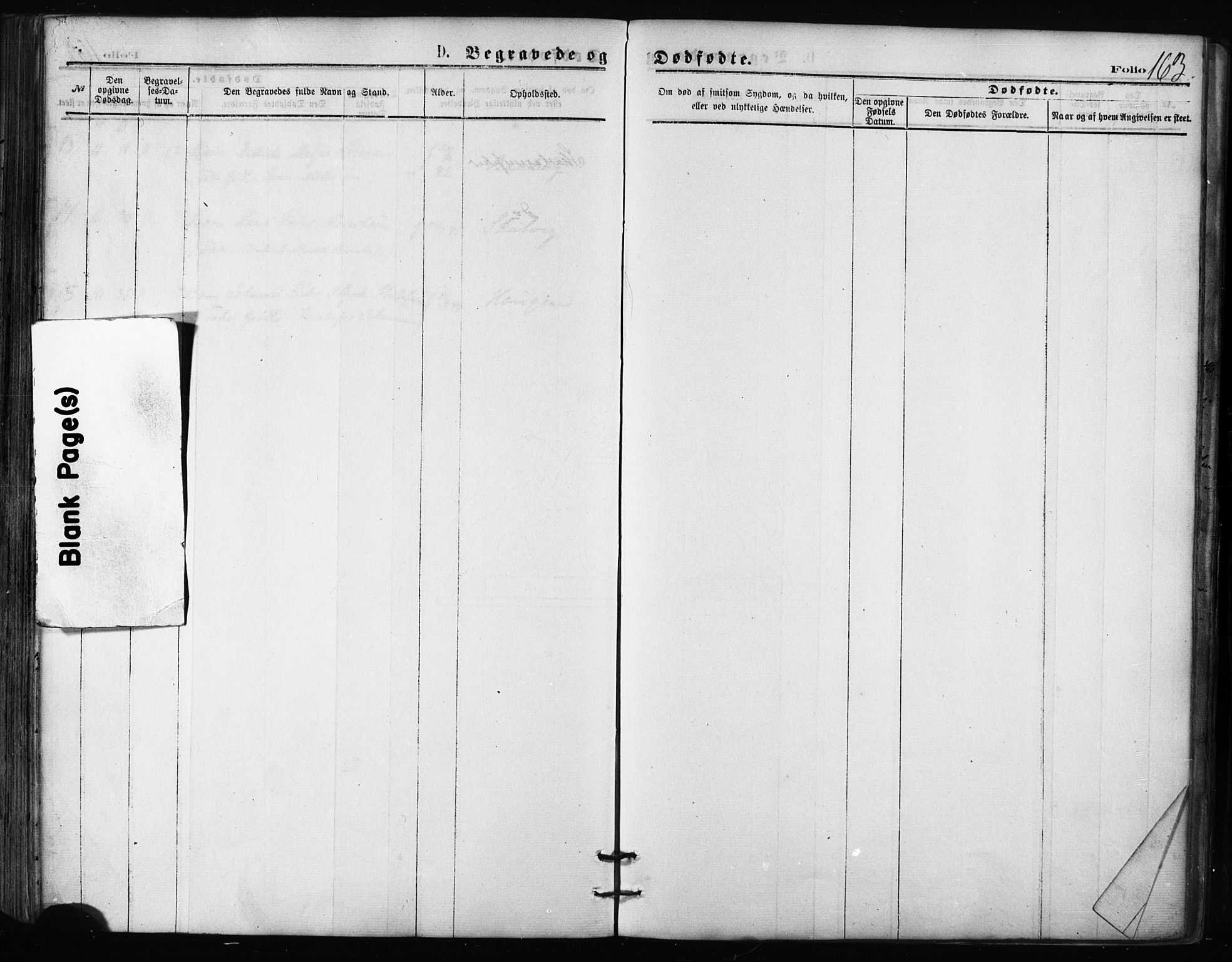 Balsfjord sokneprestembete, AV/SATØ-S-1303/G/Ga/L0002kirke: Parish register (official) no. 2, 1871-1886, p. 163