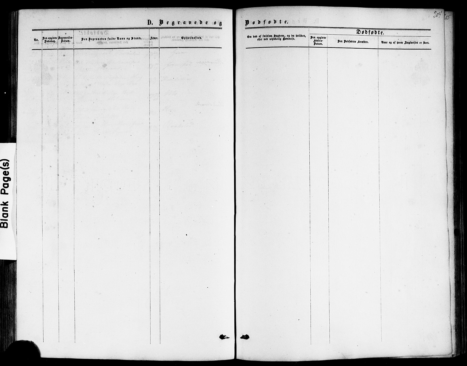 Nøtterøy kirkebøker, AV/SAKO-A-354/F/Fb/L0001: Parish register (official) no. II 1, 1865-1878, p. 204