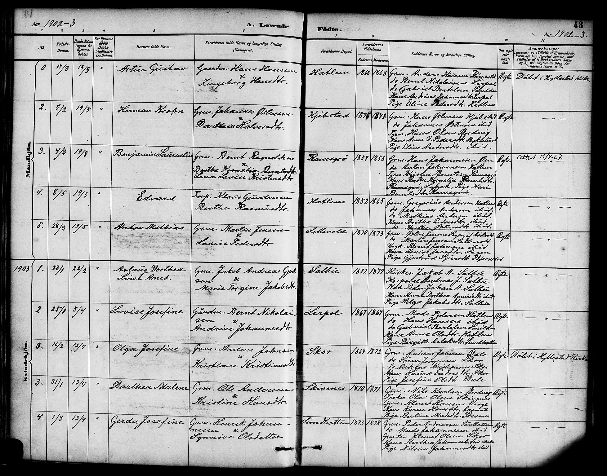 Hyllestad sokneprestembete, AV/SAB-A-80401: Parish register (official) no. D 1, 1886-1905, p. 43