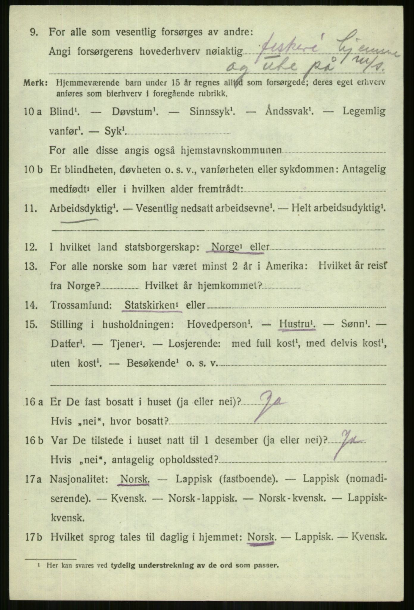 SATØ, 1920 census for Lyngen, 1920, p. 10372
