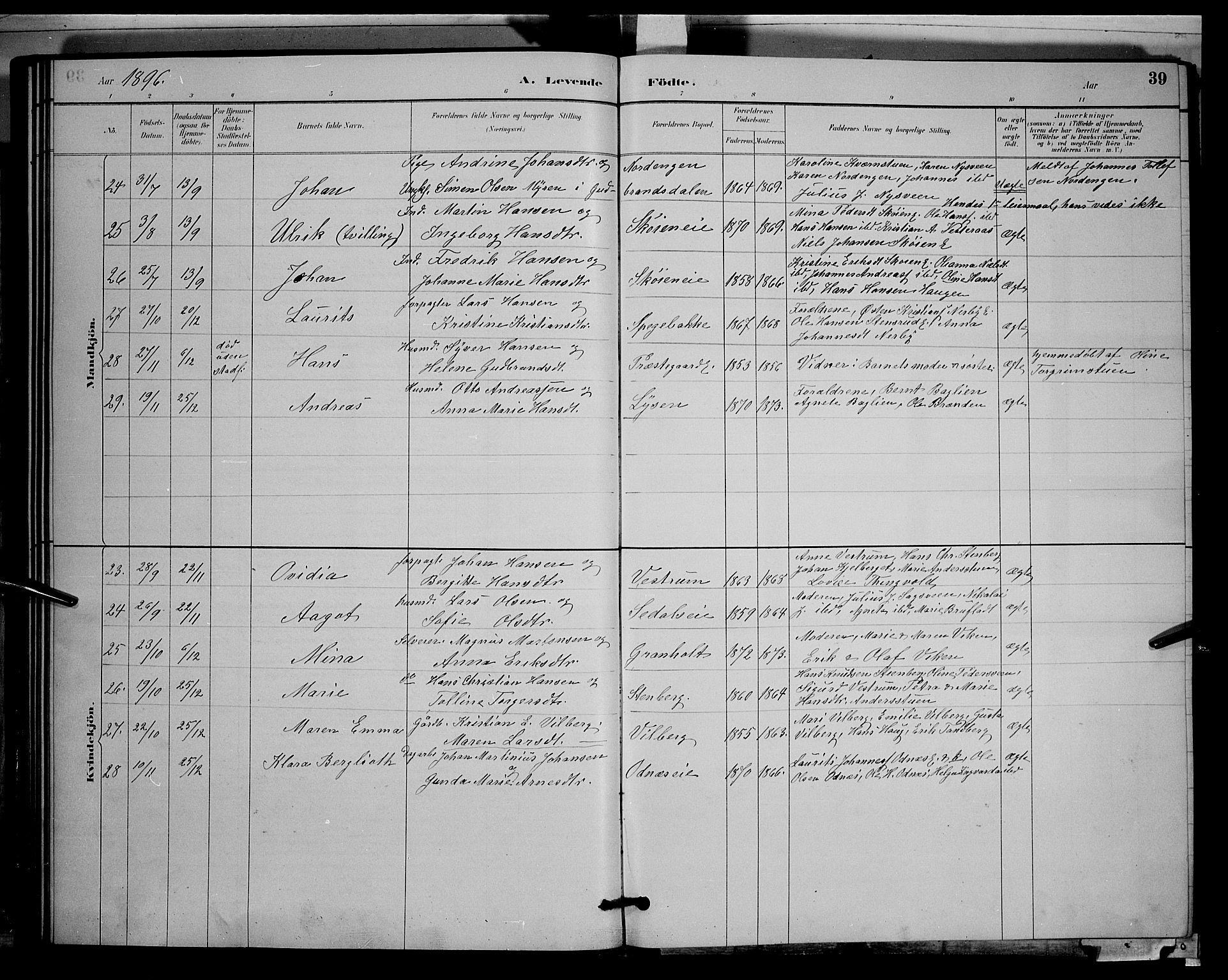 Søndre Land prestekontor, AV/SAH-PREST-122/L/L0003: Parish register (copy) no. 3, 1884-1902, p. 39