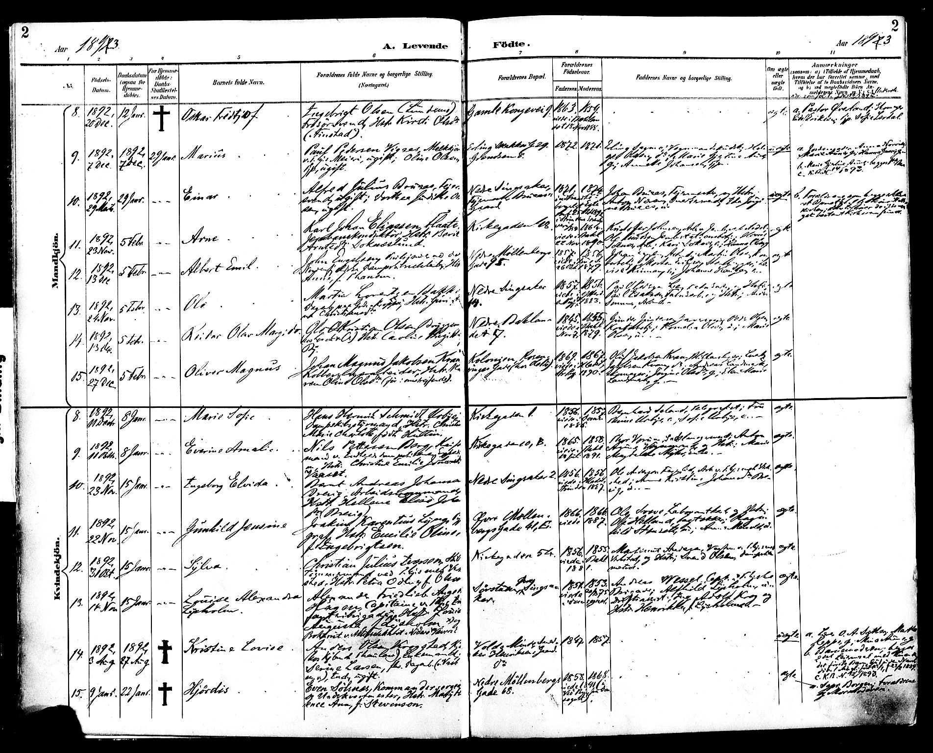 Ministerialprotokoller, klokkerbøker og fødselsregistre - Sør-Trøndelag, AV/SAT-A-1456/604/L0197: Parish register (official) no. 604A18, 1893-1900, p. 2