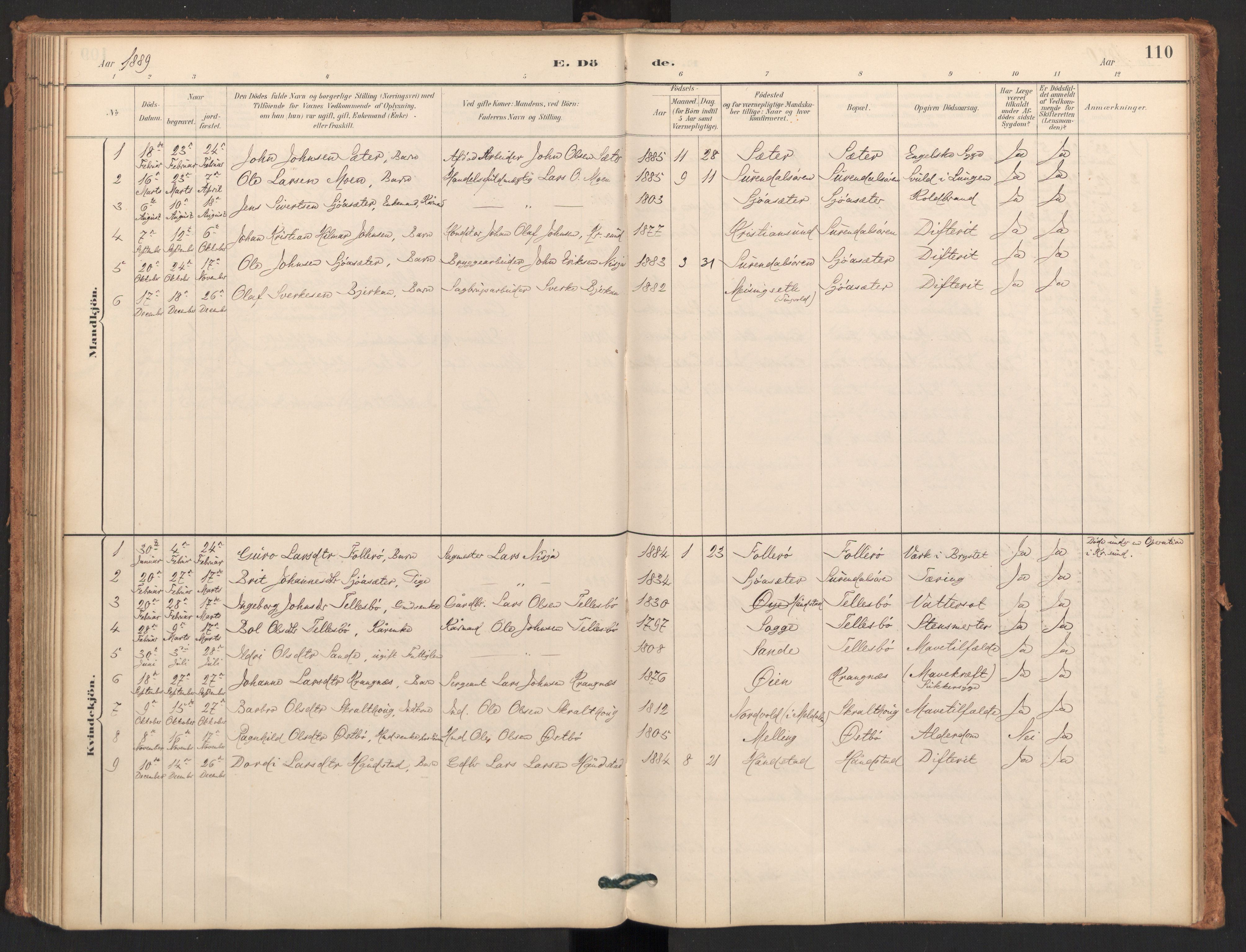 Ministerialprotokoller, klokkerbøker og fødselsregistre - Møre og Romsdal, AV/SAT-A-1454/596/L1056: Parish register (official) no. 596A01, 1885-1900, p. 110