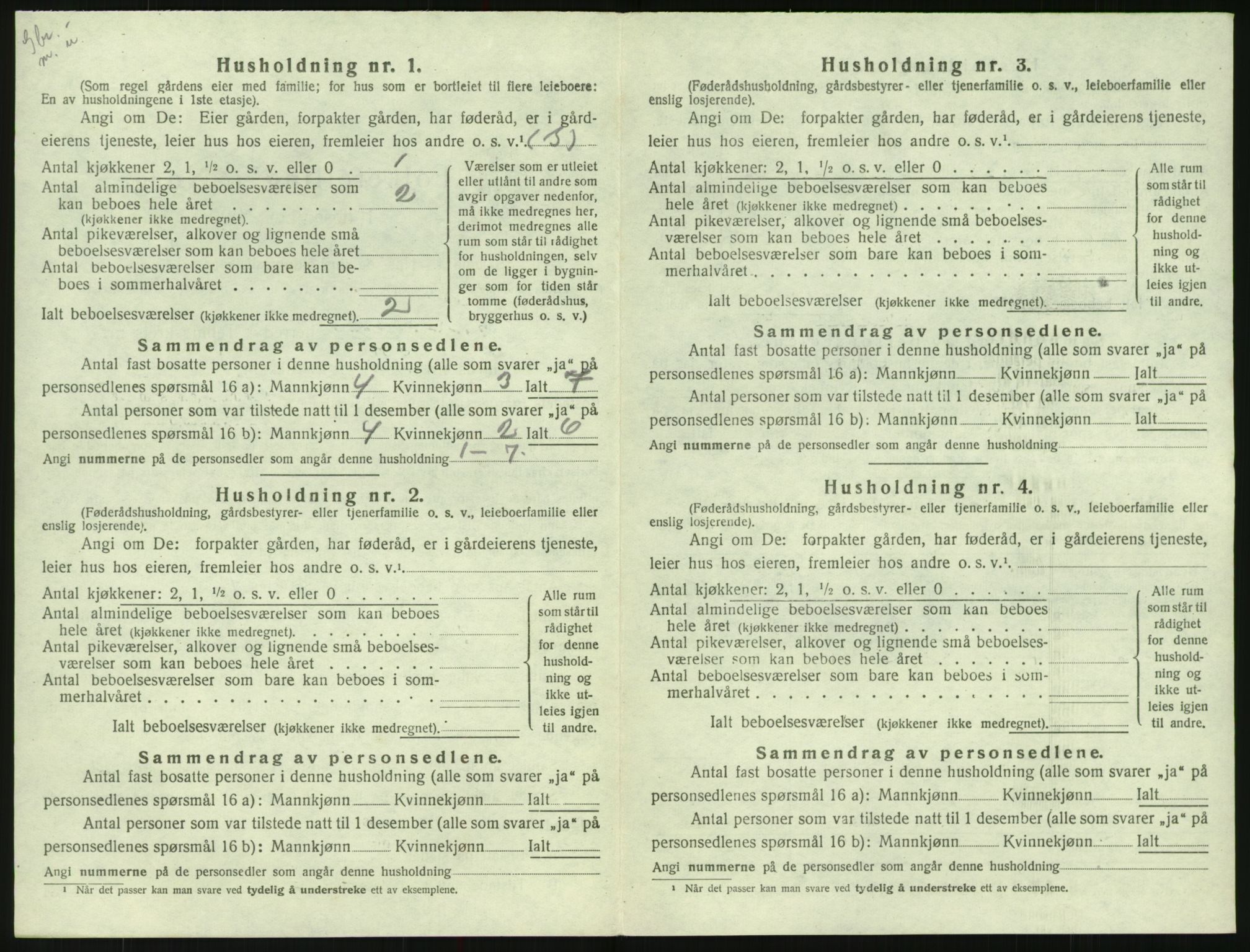 SAK, 1920 census for Hornnes, 1920, p. 508