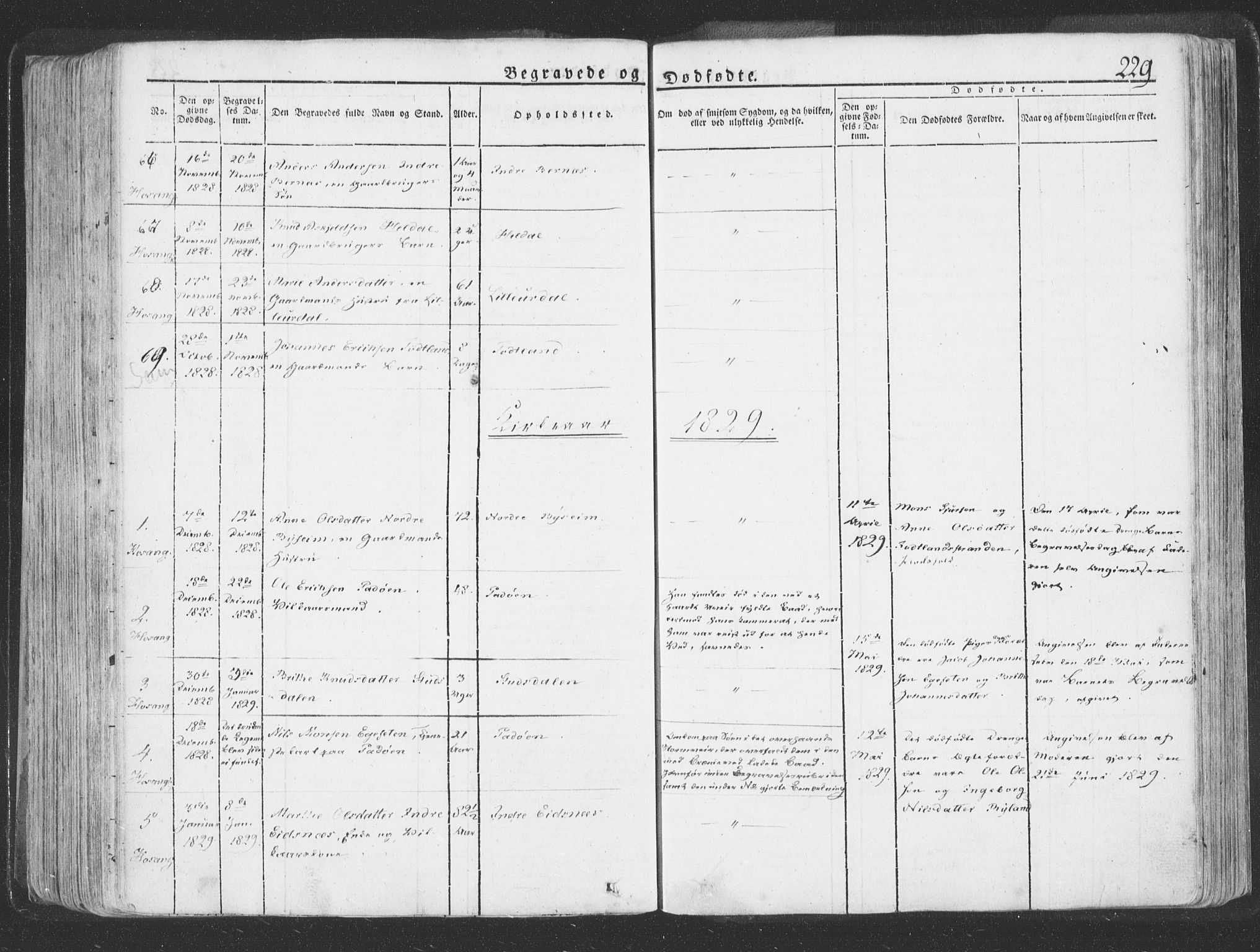 Hosanger sokneprestembete, SAB/A-75801/H/Haa: Parish register (official) no. A 6, 1824-1835, p. 229
