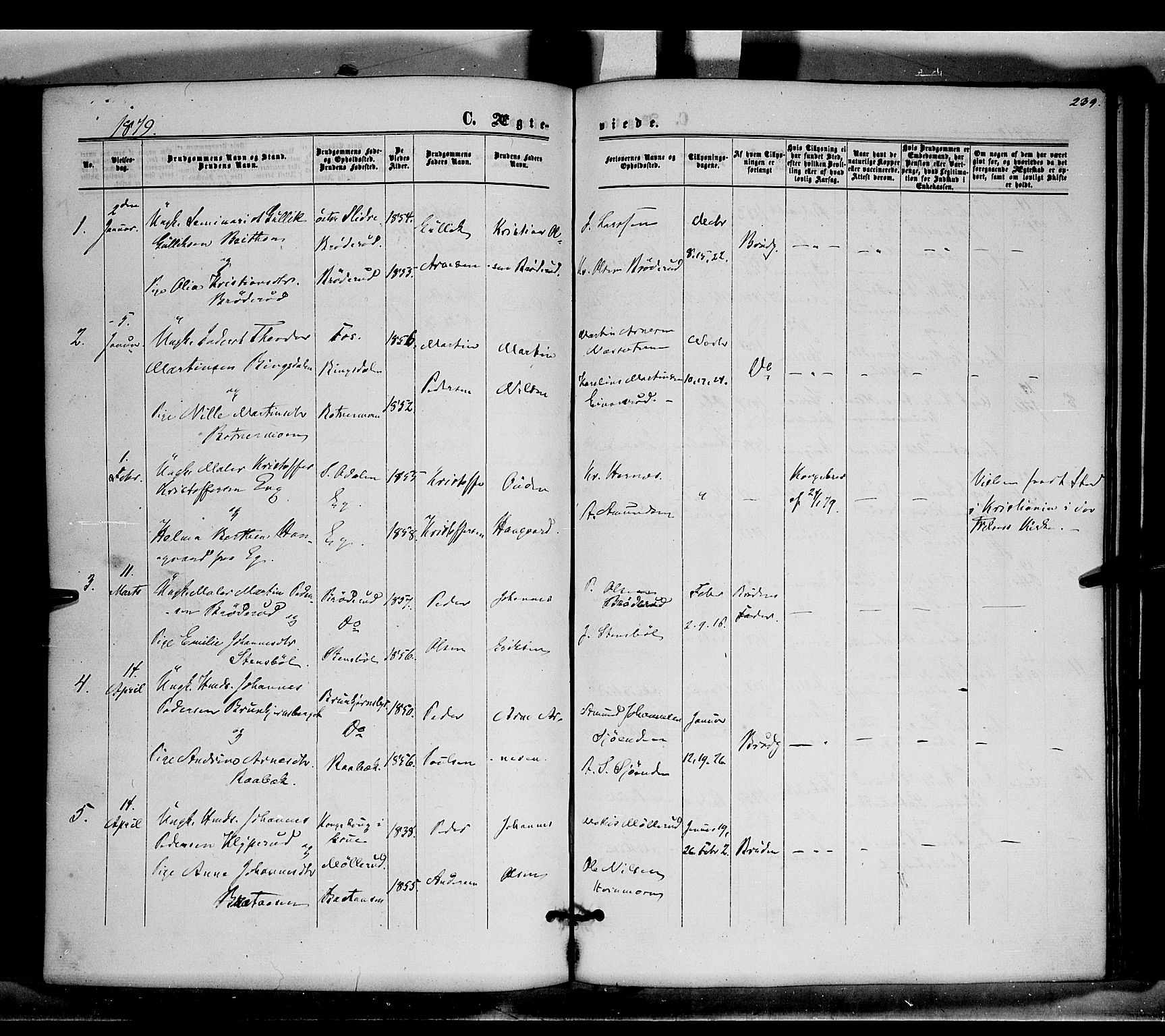 Brandval prestekontor, SAH/PREST-034/H/Ha/Haa/L0001: Parish register (official) no. 1, 1864-1879, p. 239