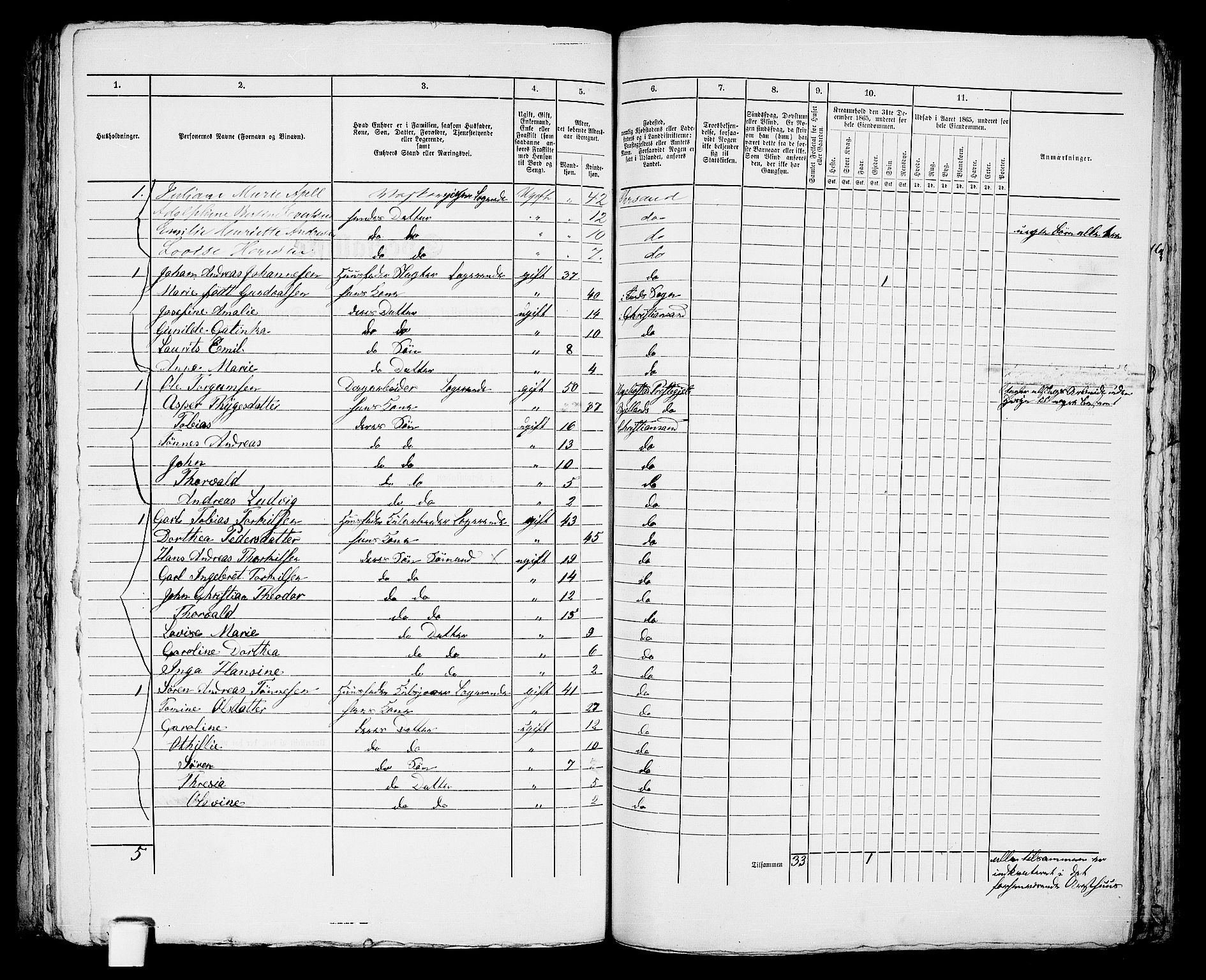 RA, 1865 census for Kristiansand, 1865, p. 379