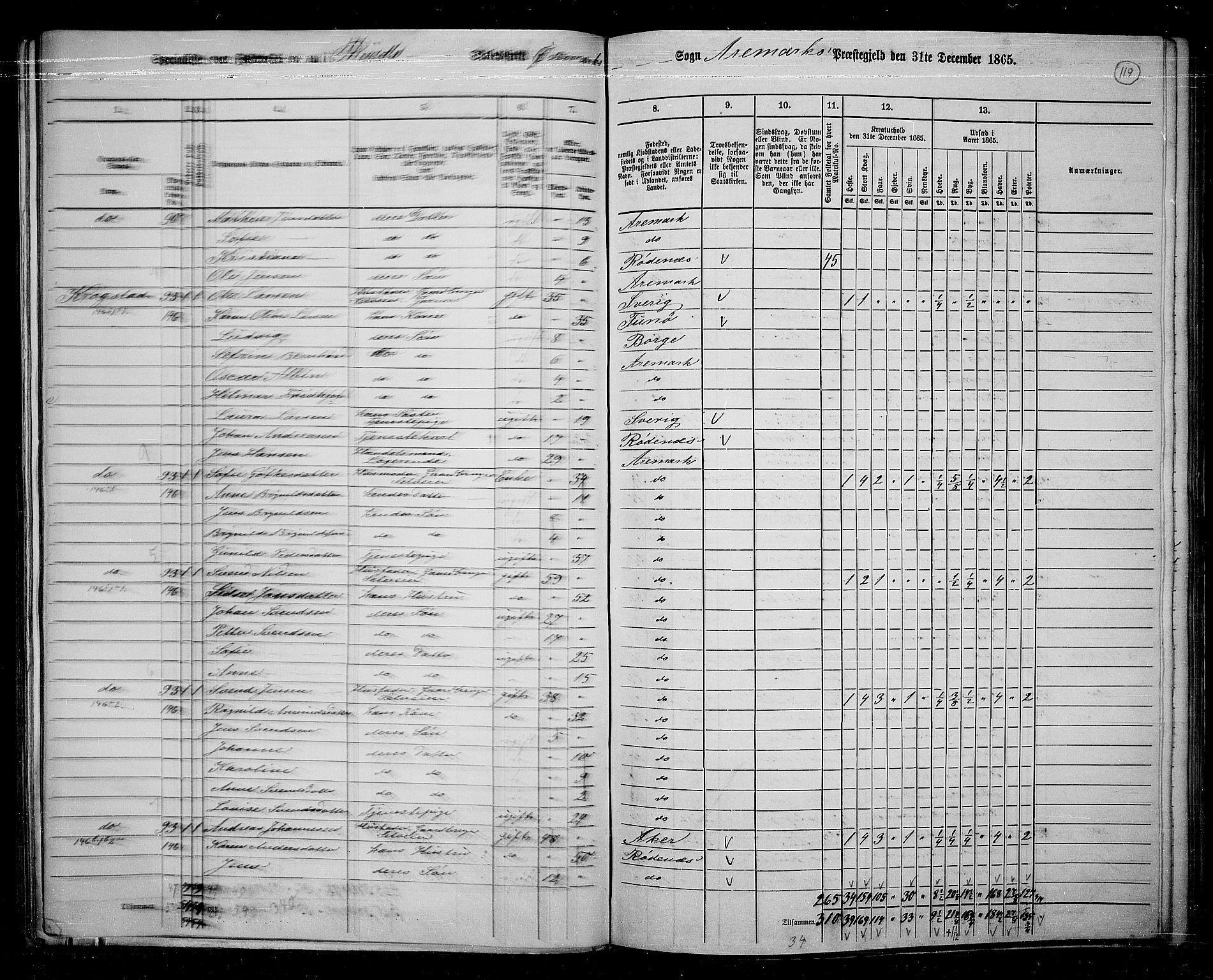 RA, 1865 census for Aremark, 1865, p. 107