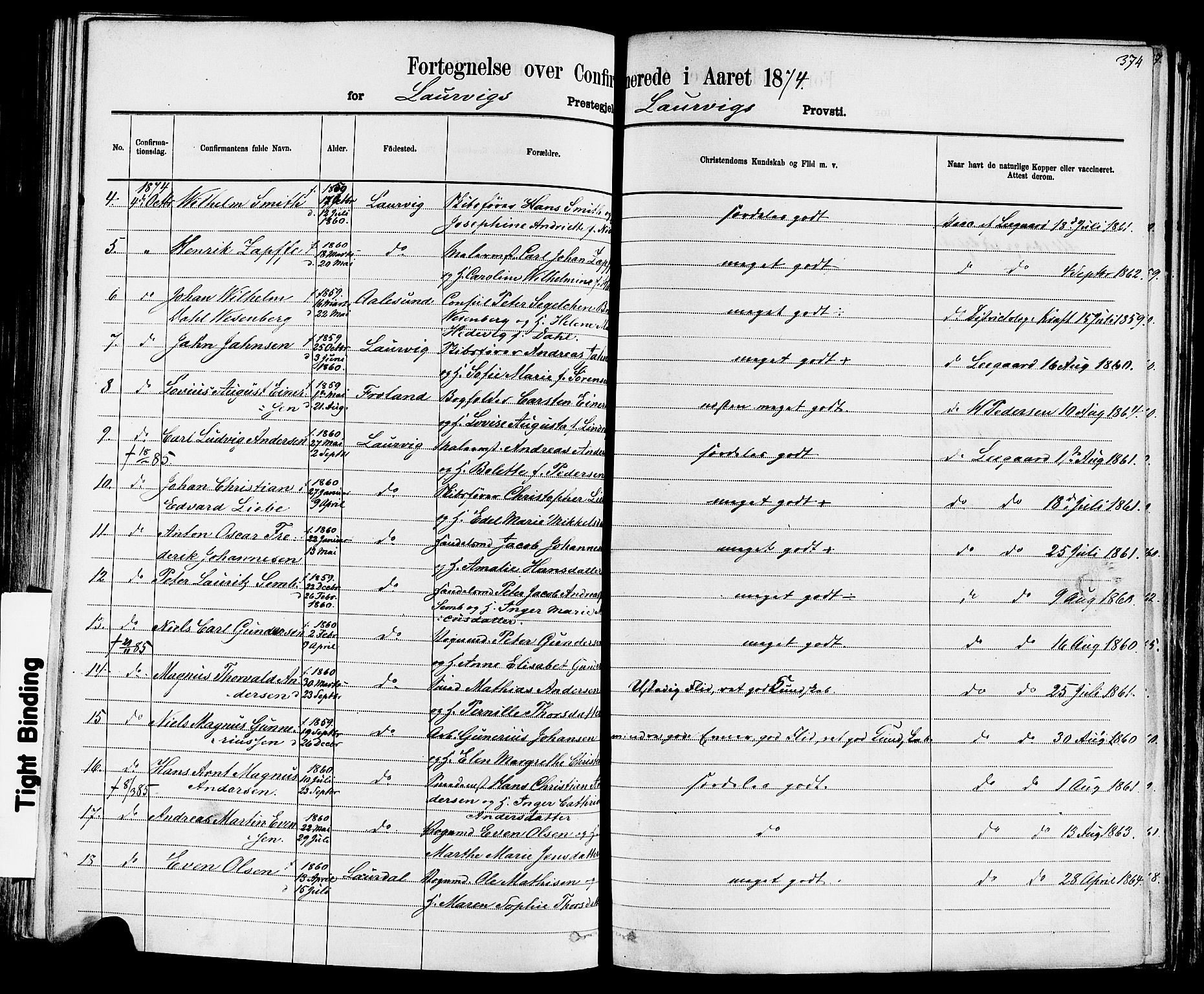 Larvik kirkebøker, AV/SAKO-A-352/F/Fa/L0006: Parish register (official) no. I 6, 1871-1883, p. 374