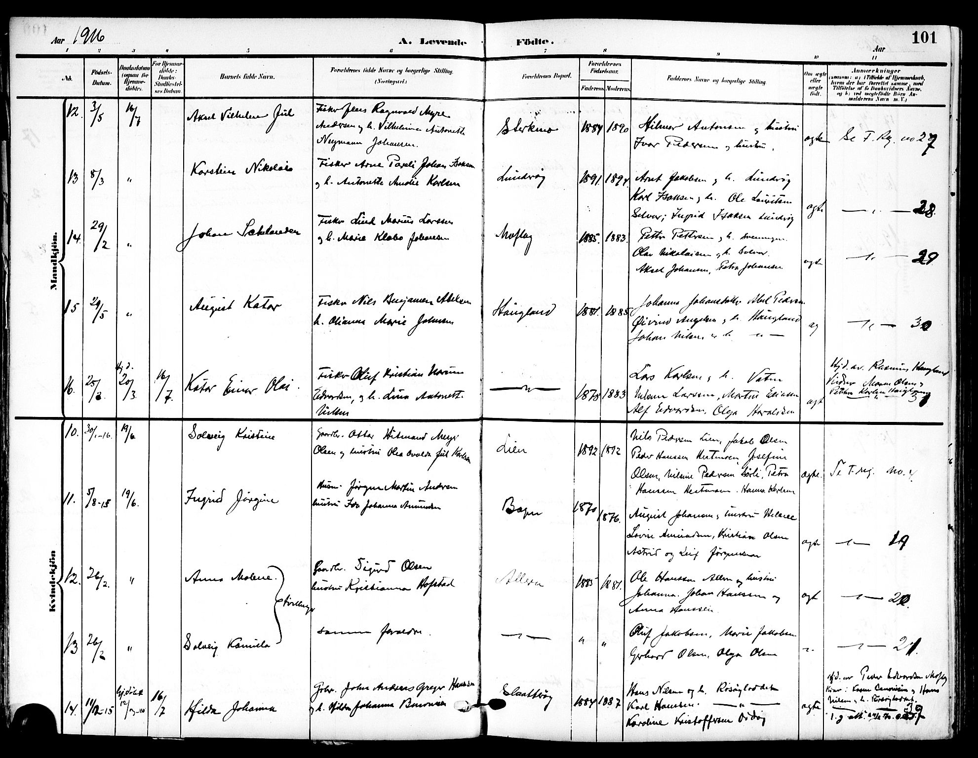 Ministerialprotokoller, klokkerbøker og fødselsregistre - Nordland, SAT/A-1459/839/L0569: Parish register (official) no. 839A06, 1903-1922, p. 101