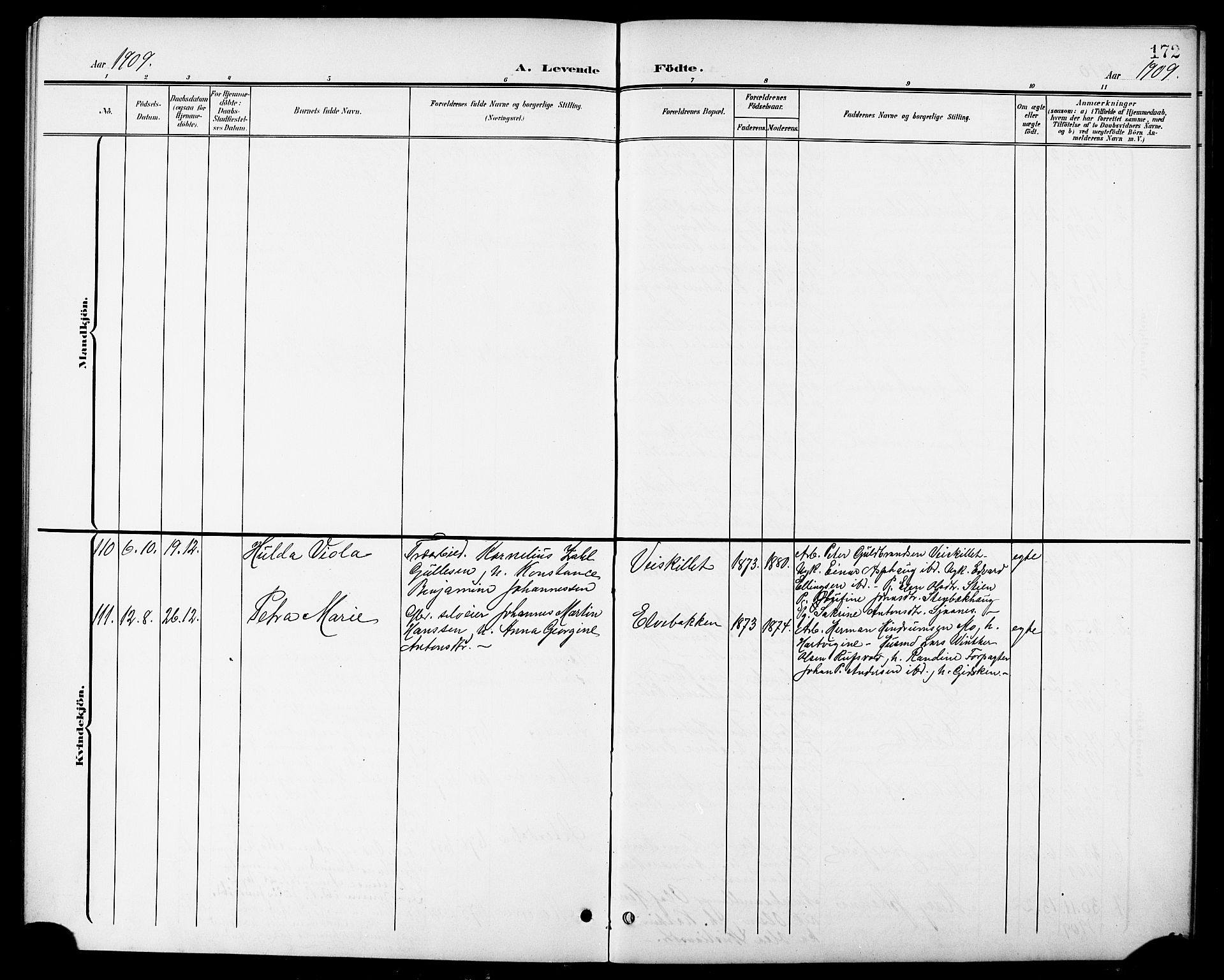 Ministerialprotokoller, klokkerbøker og fødselsregistre - Nordland, AV/SAT-A-1459/827/L0422: Parish register (copy) no. 827C11, 1899-1912, p. 172